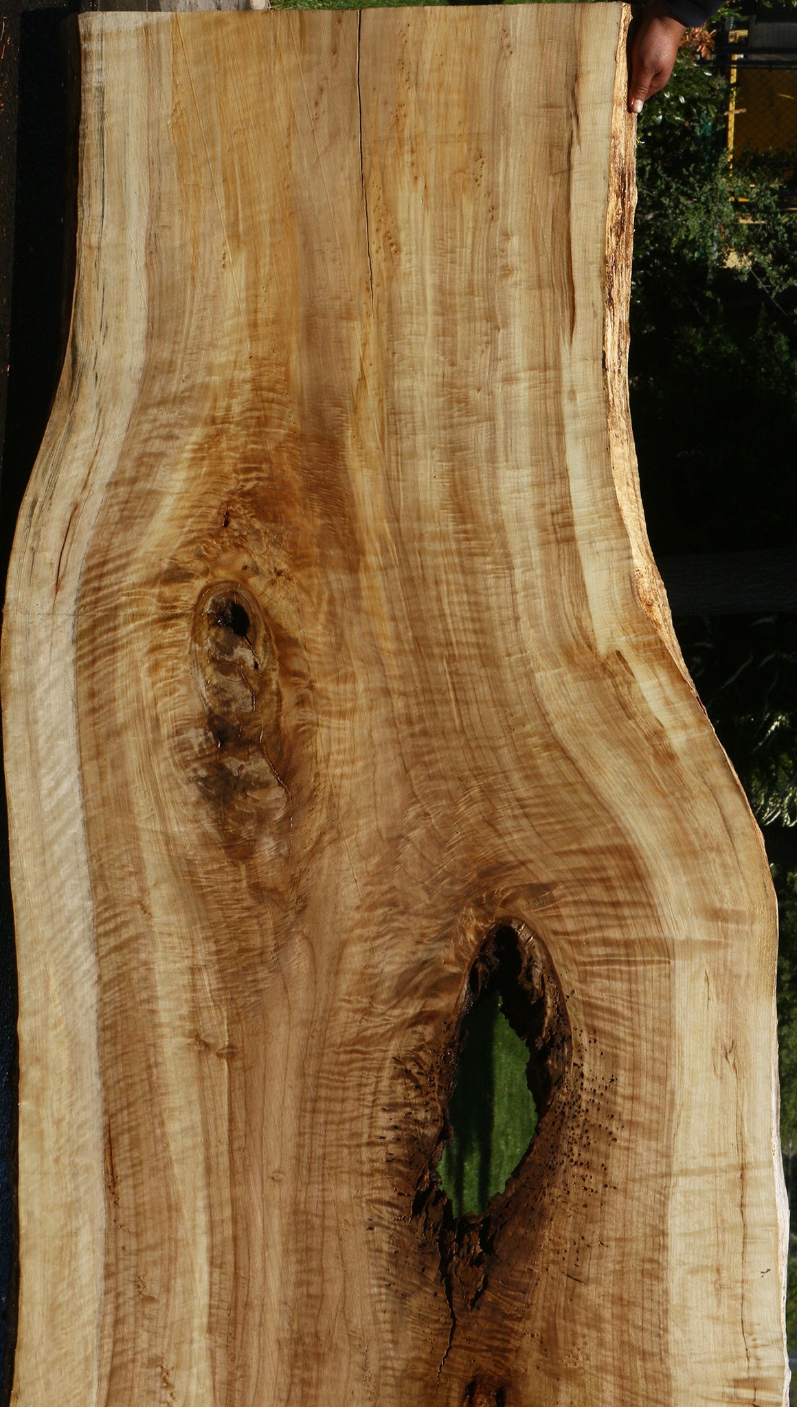 Extra Fancy Black Cottonwood Live Edge Slab
