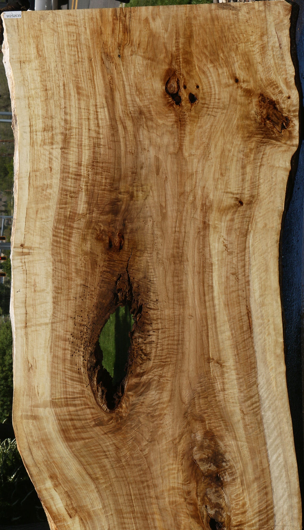 Extra Fancy Black Cottonwood Live Edge Slab