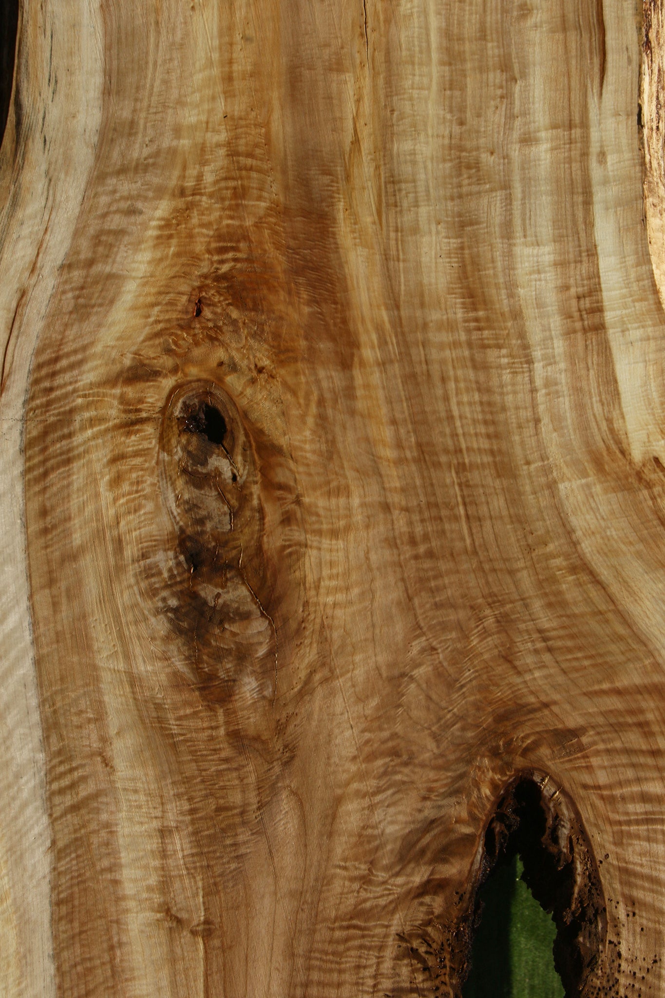 Extra Fancy Black Cottonwood Live Edge Slab