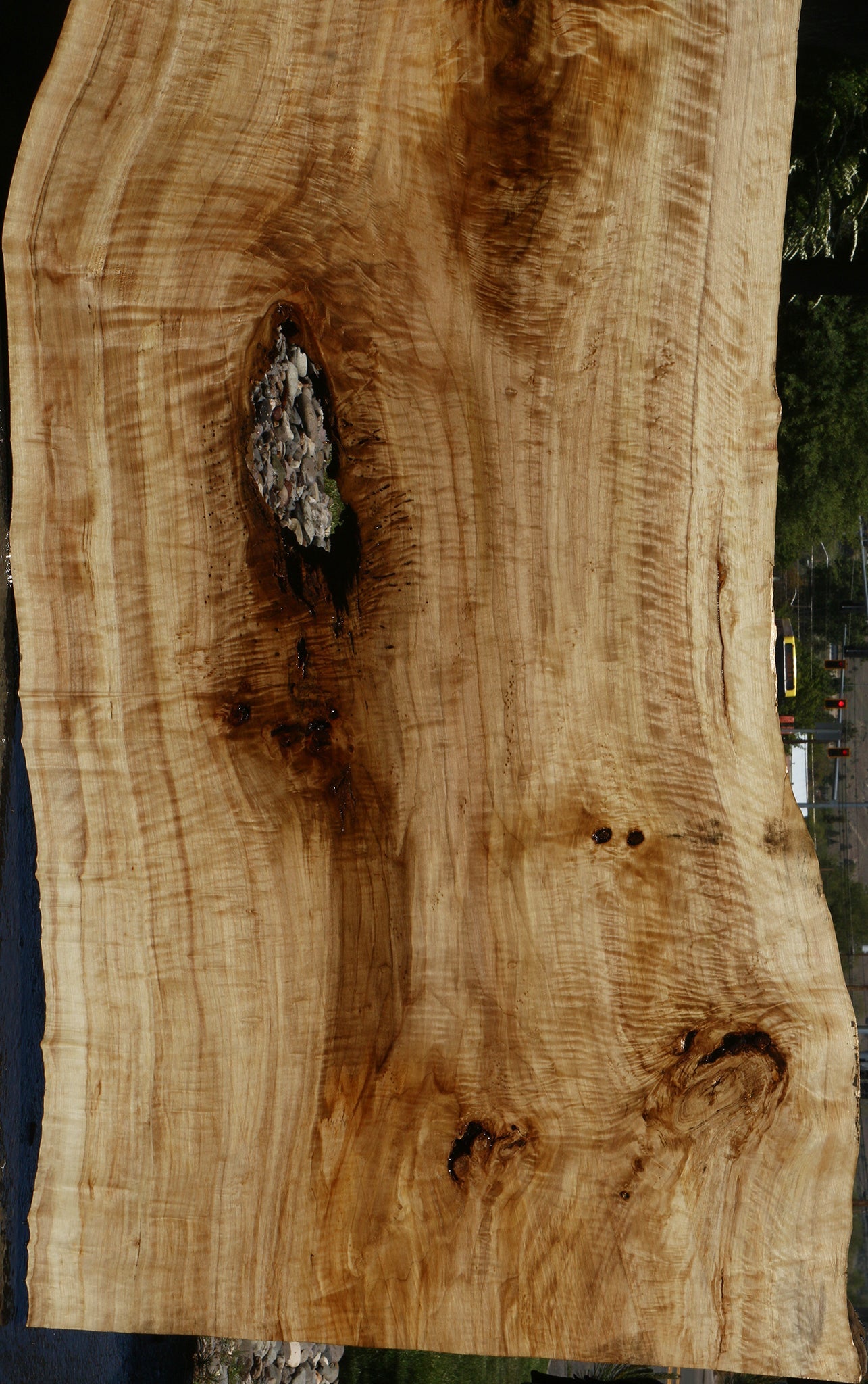 Extra Fancy Black Cottonwood Live Edge Slab