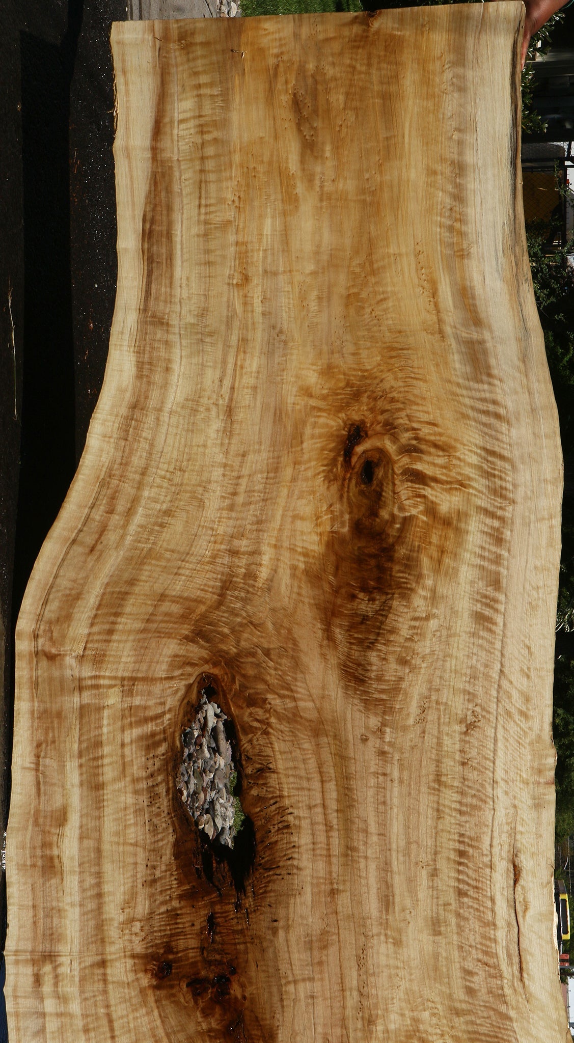 Extra Fancy Black Cottonwood Live Edge Slab