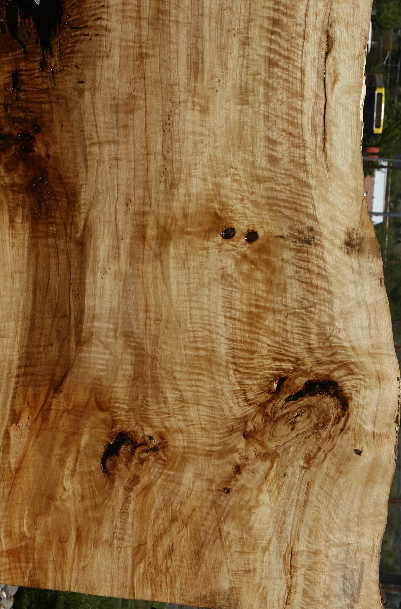 Extra Fancy Black Cottonwood Live Edge Slab