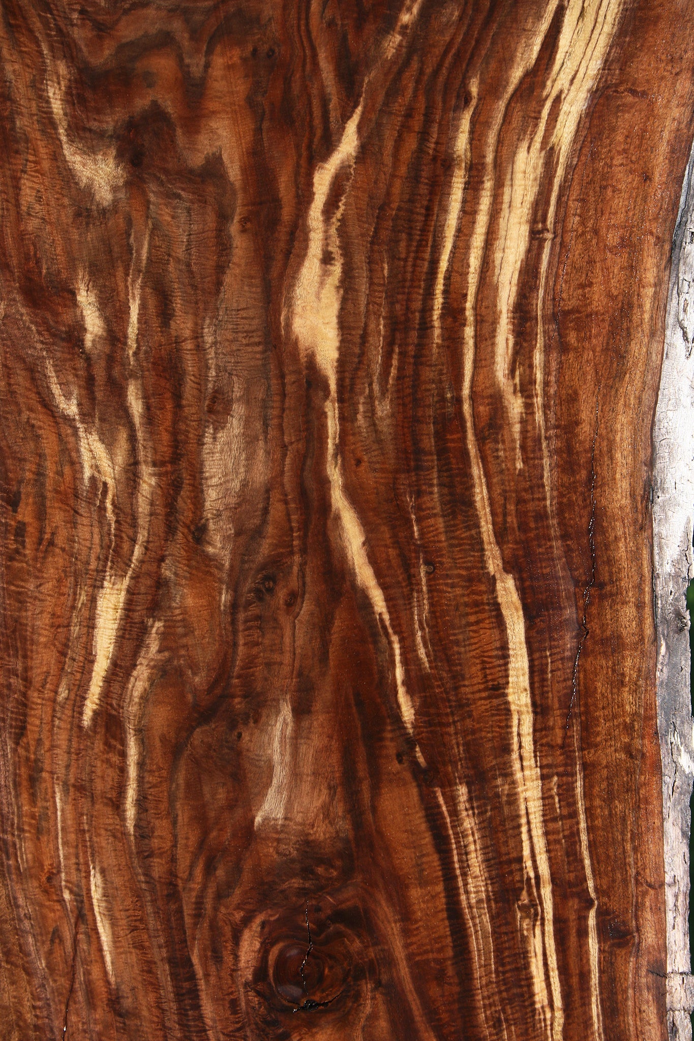 Exhibition Crotchwood Claro Walnut Live Edge Slab