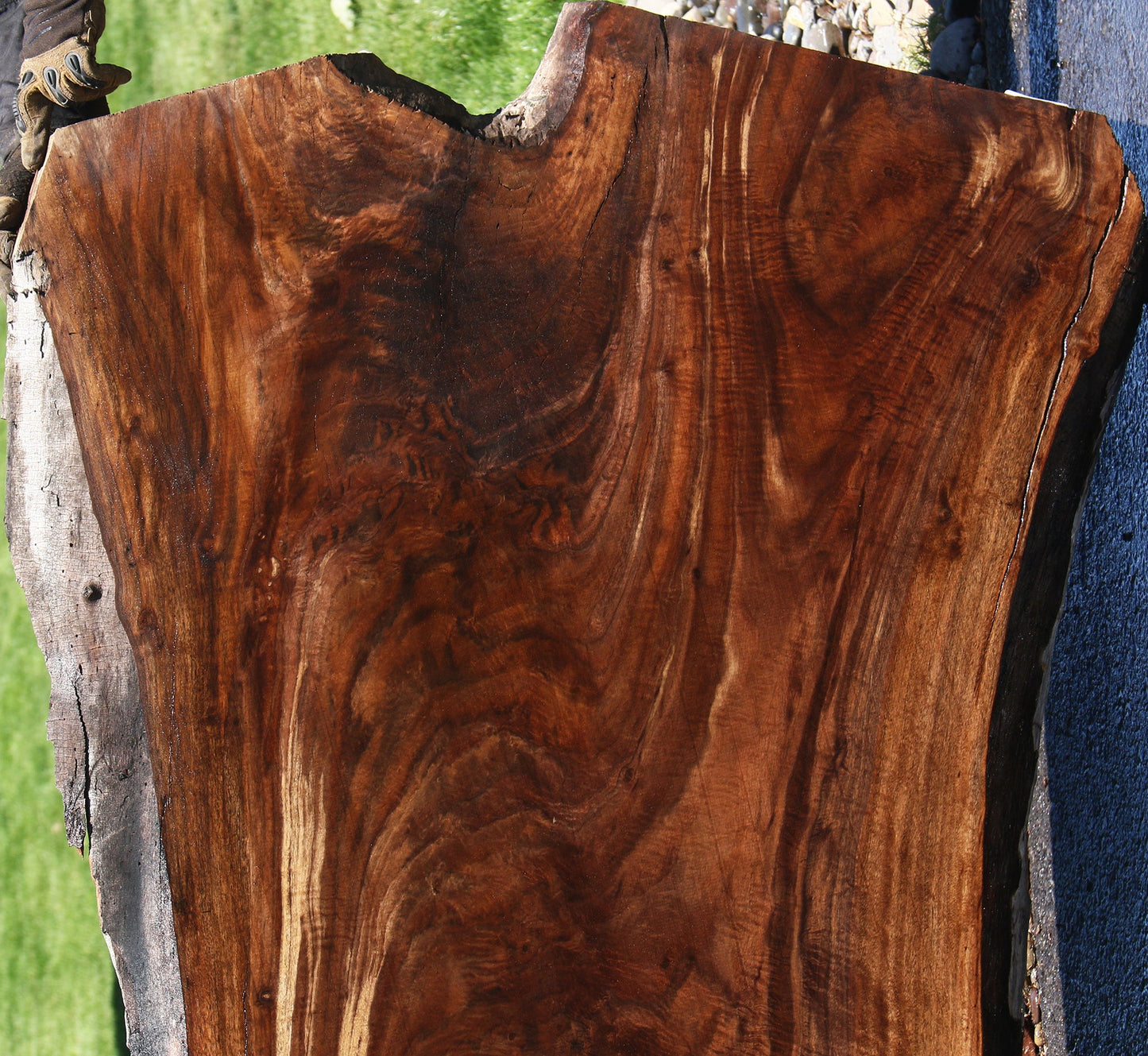 Exhibition Crotchwood Claro Walnut Live Edge Slab
