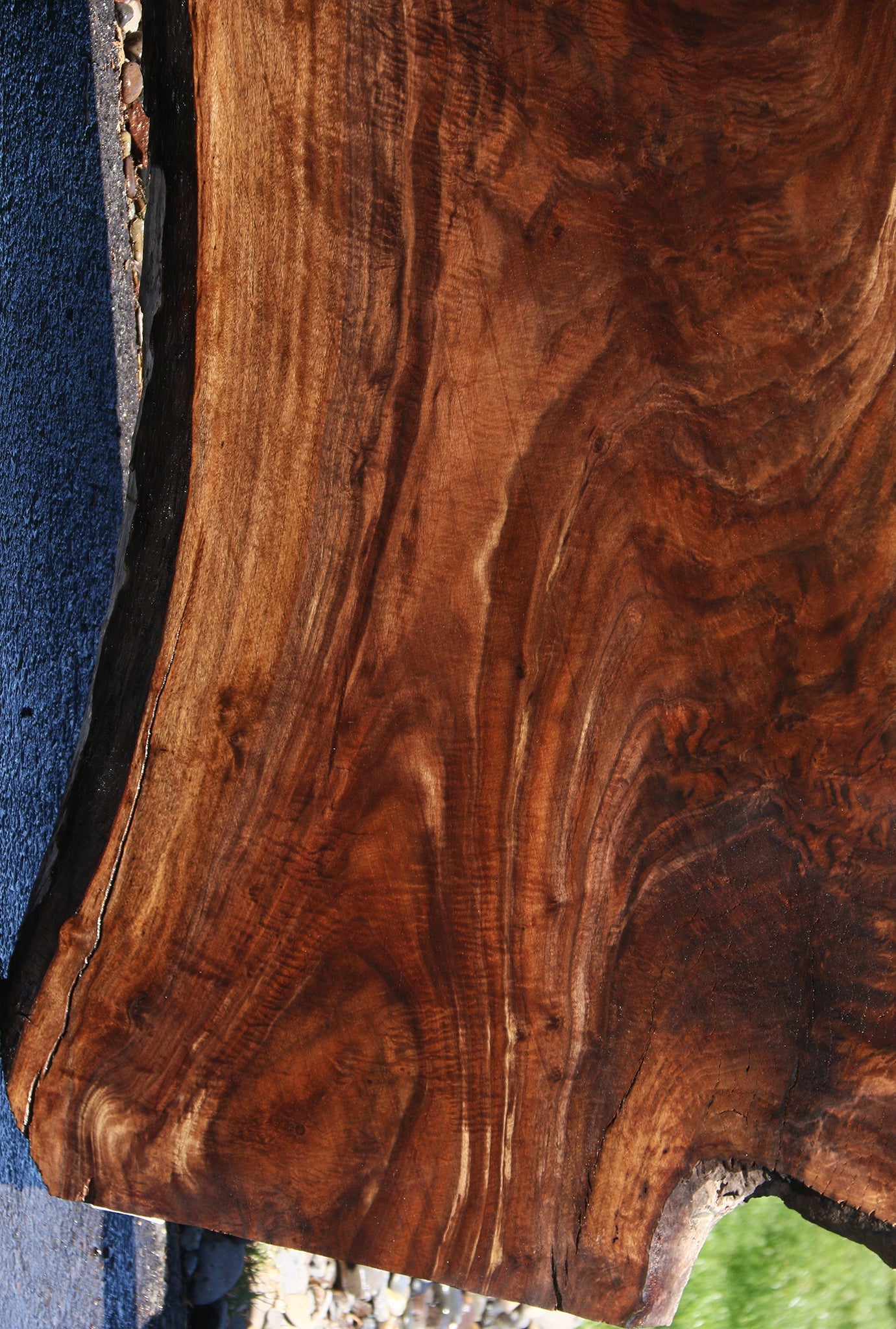 Exhibition Crotchwood Claro Walnut Live Edge Slab