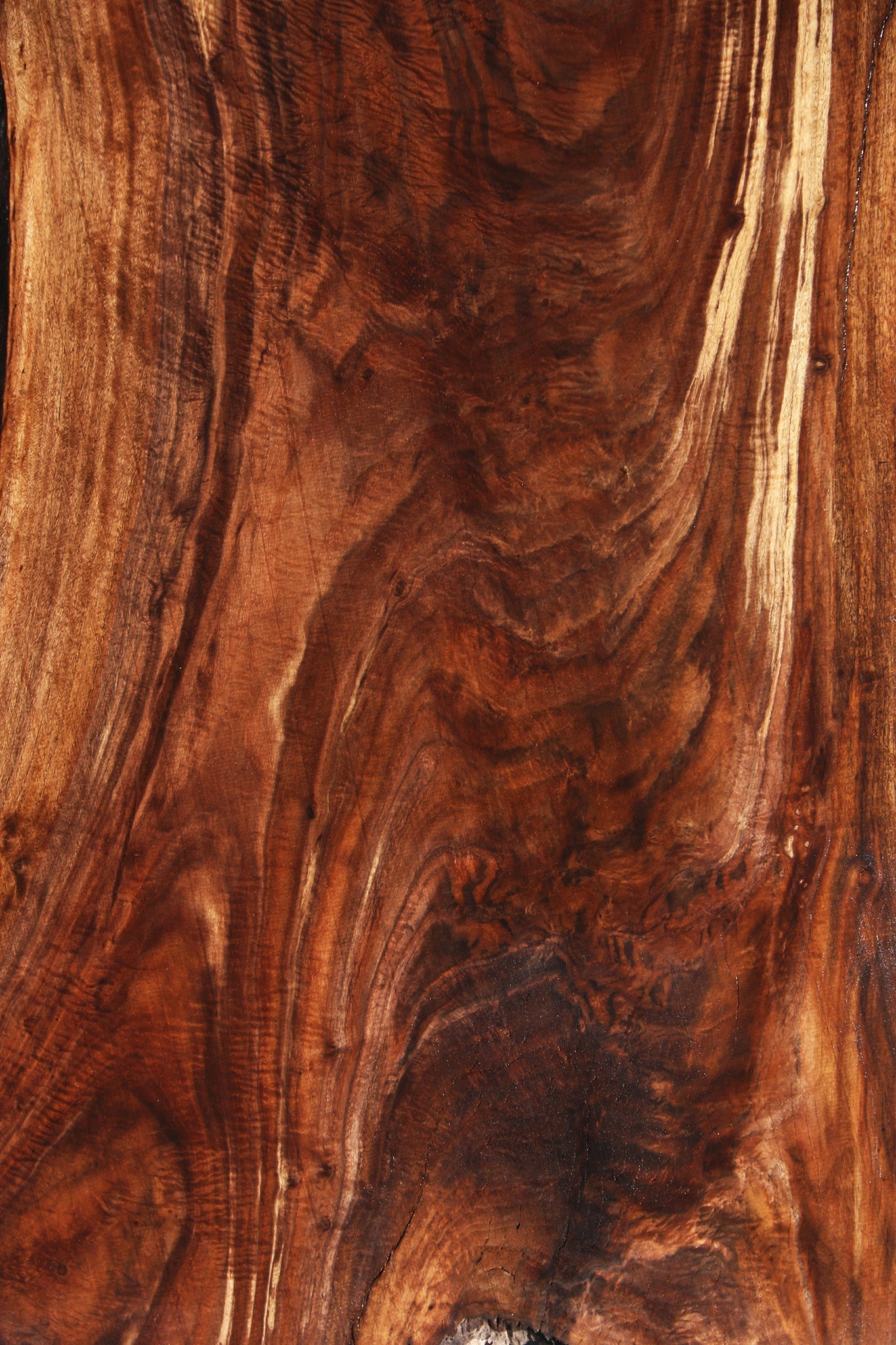 Exhibition Crotchwood Claro Walnut Live Edge Slab