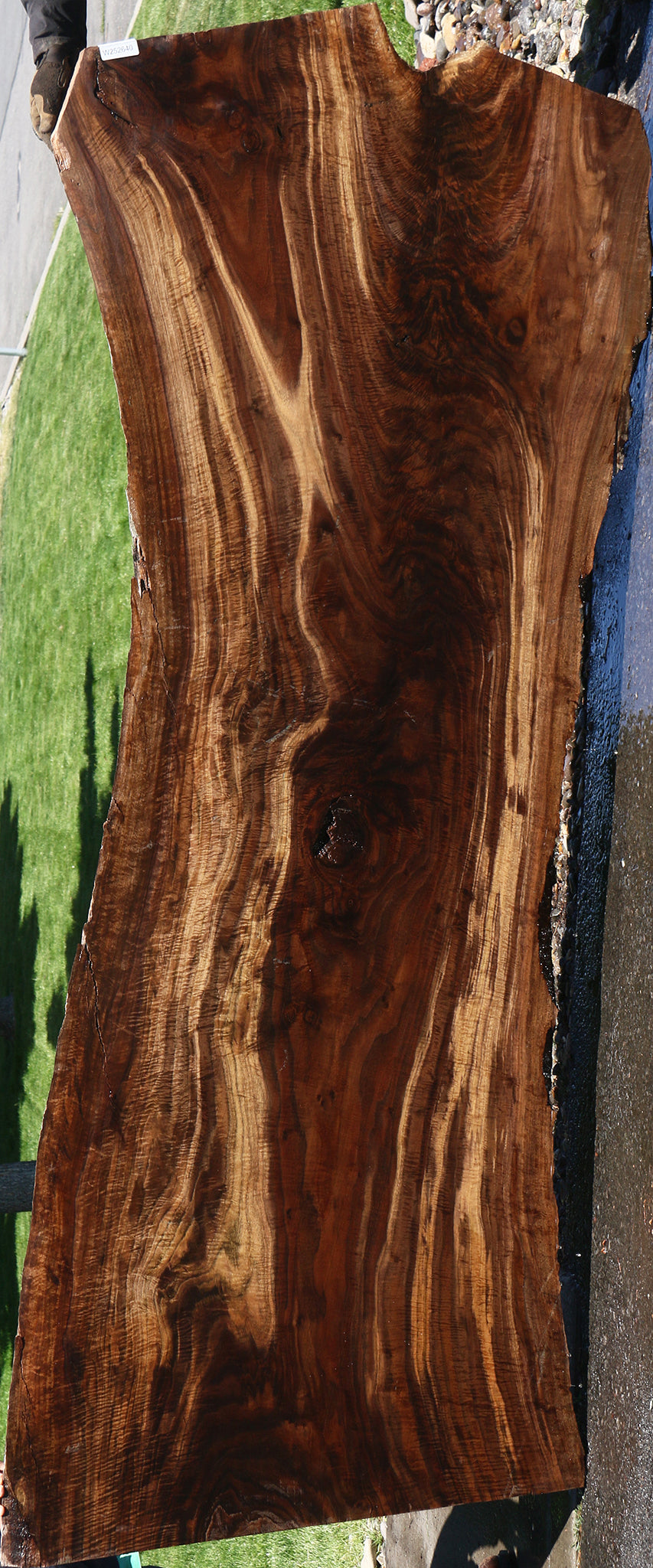 Exhibition Crotchwood Claro Walnut Live Edge Slab