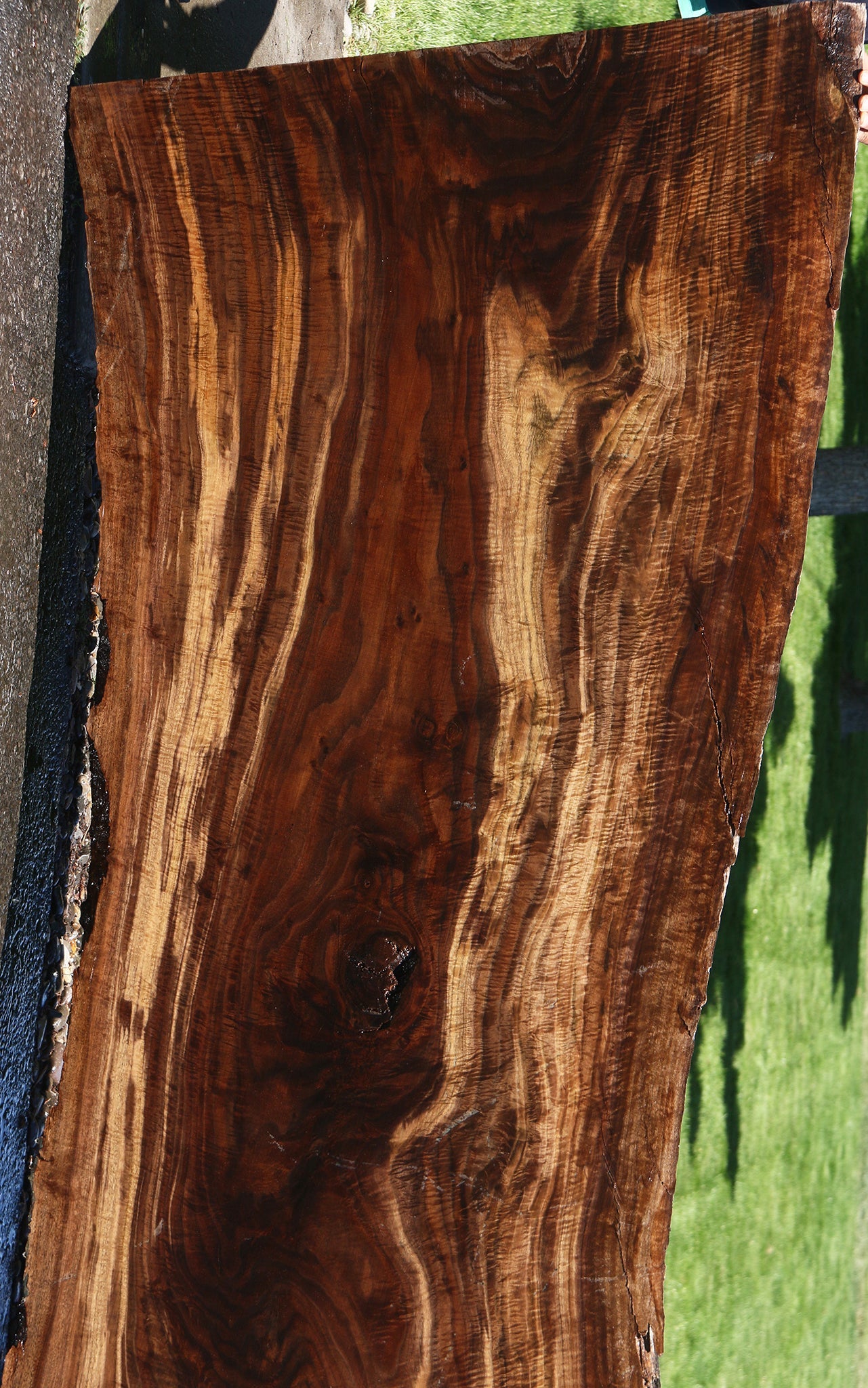 Exhibition Crotchwood Claro Walnut Live Edge Slab