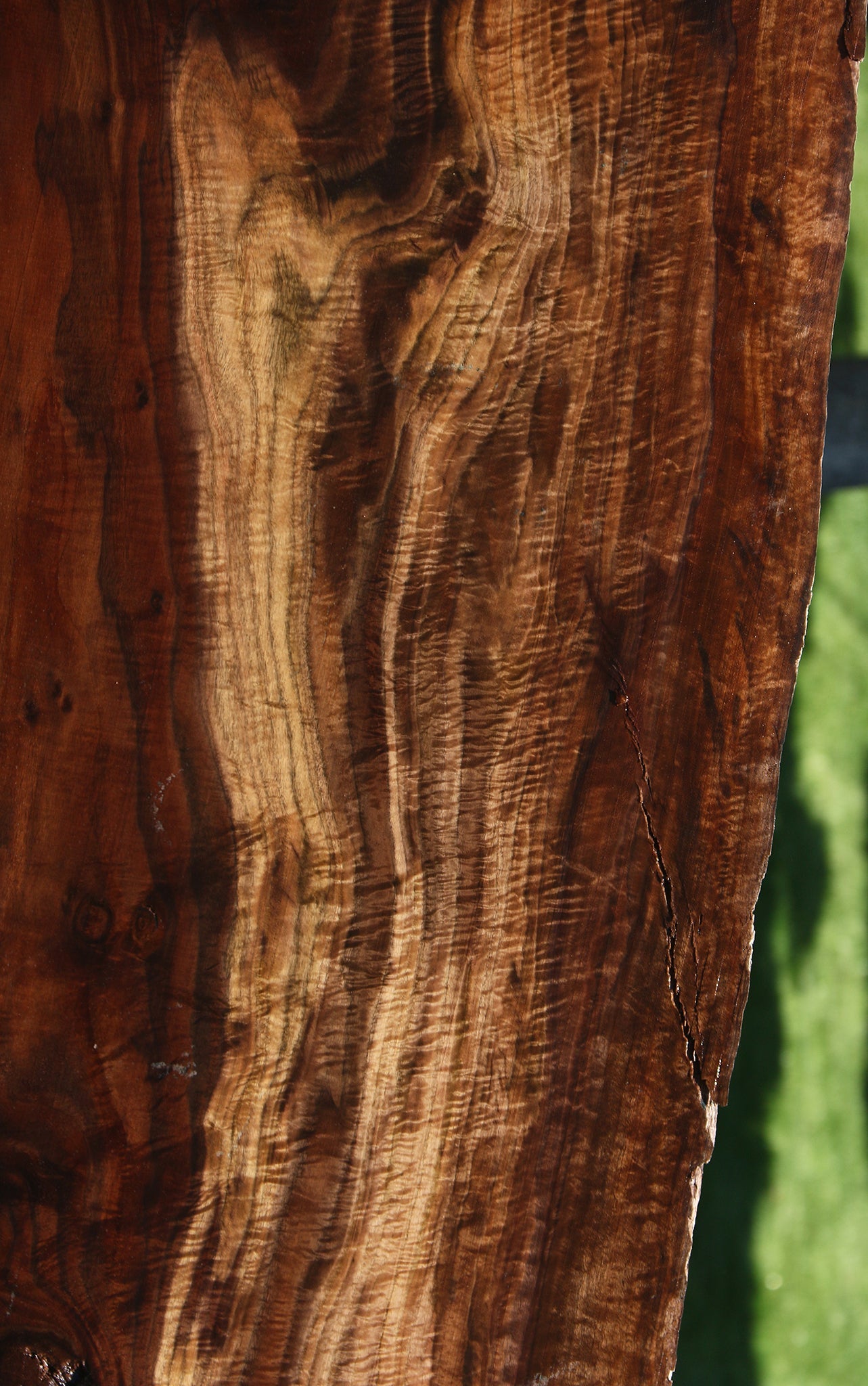 Exhibition Crotchwood Claro Walnut Live Edge Slab
