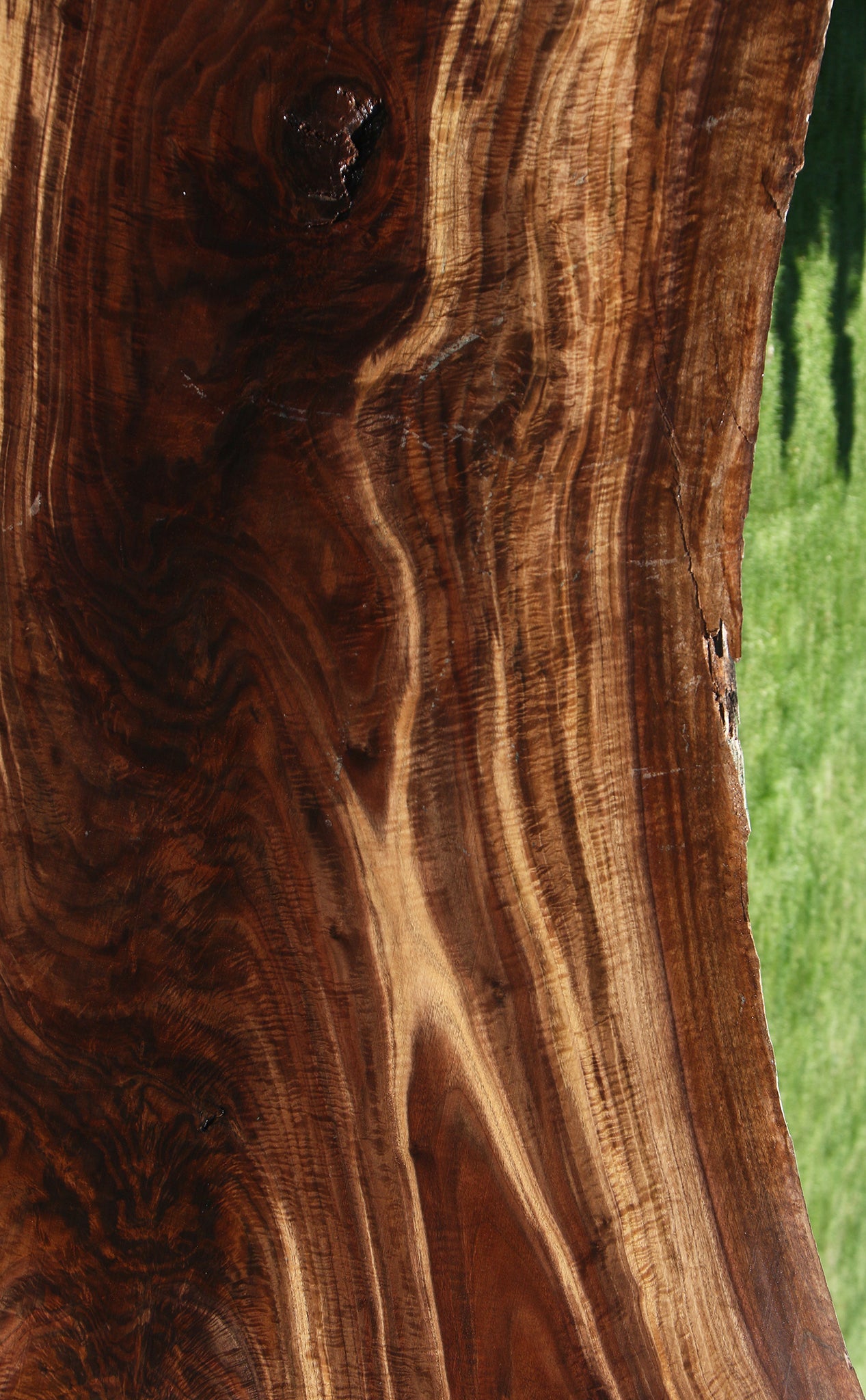 Exhibition Crotchwood Claro Walnut Live Edge Slab