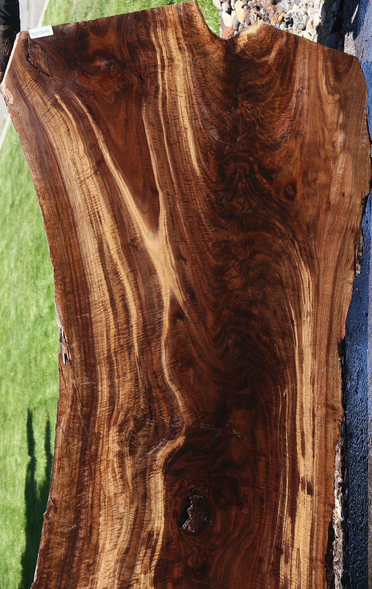Exhibition Crotchwood Claro Walnut Live Edge Slab