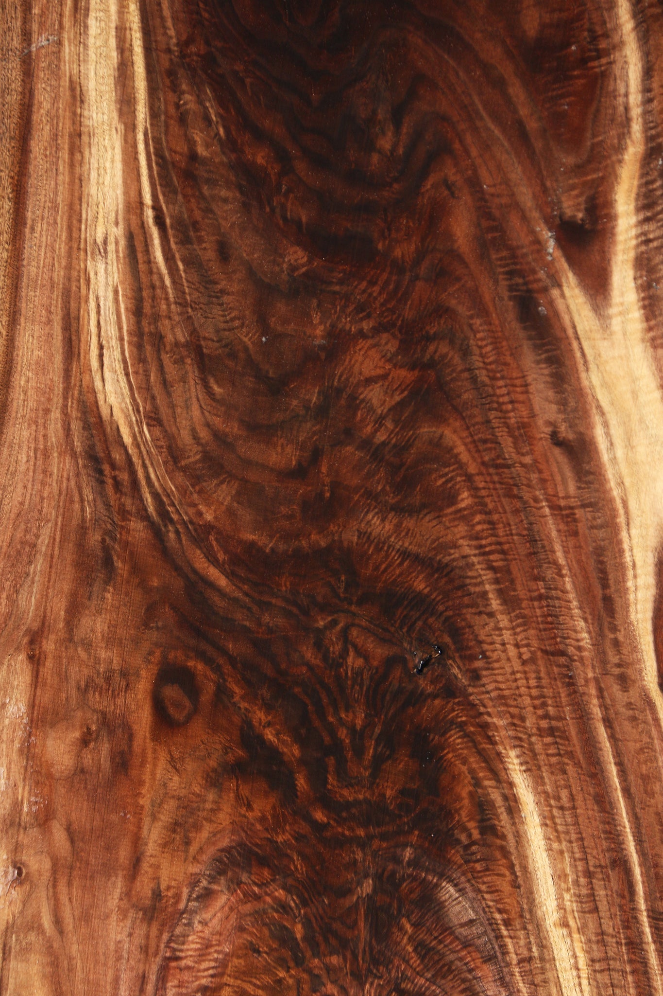 Exhibition Crotchwood Claro Walnut Live Edge Slab