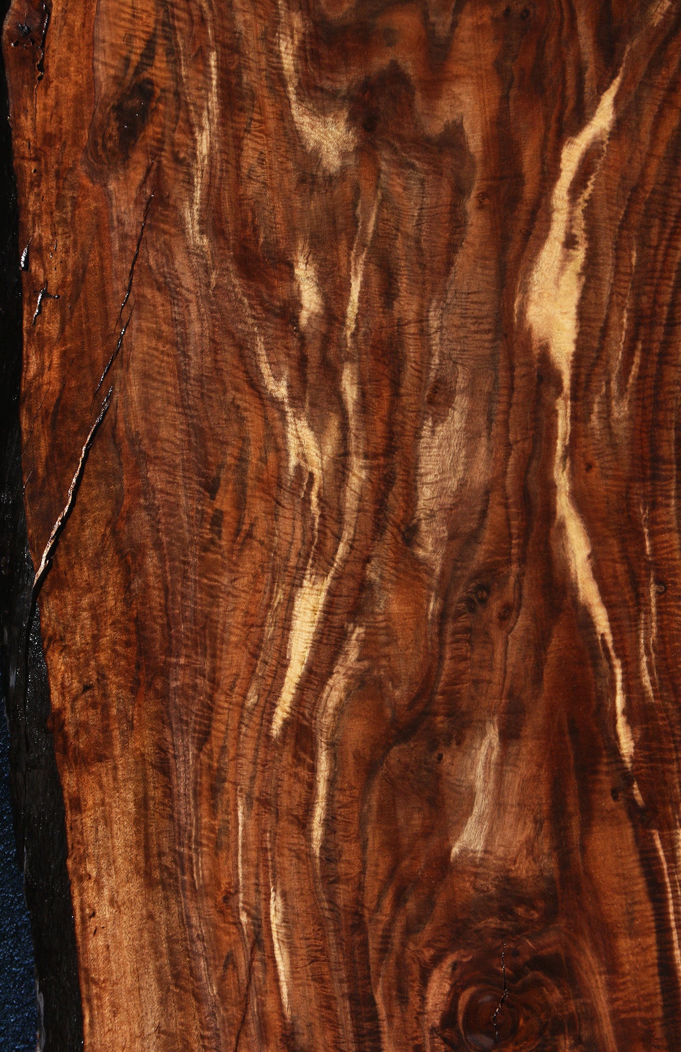 Exhibition Crotchwood Claro Walnut Live Edge Slab