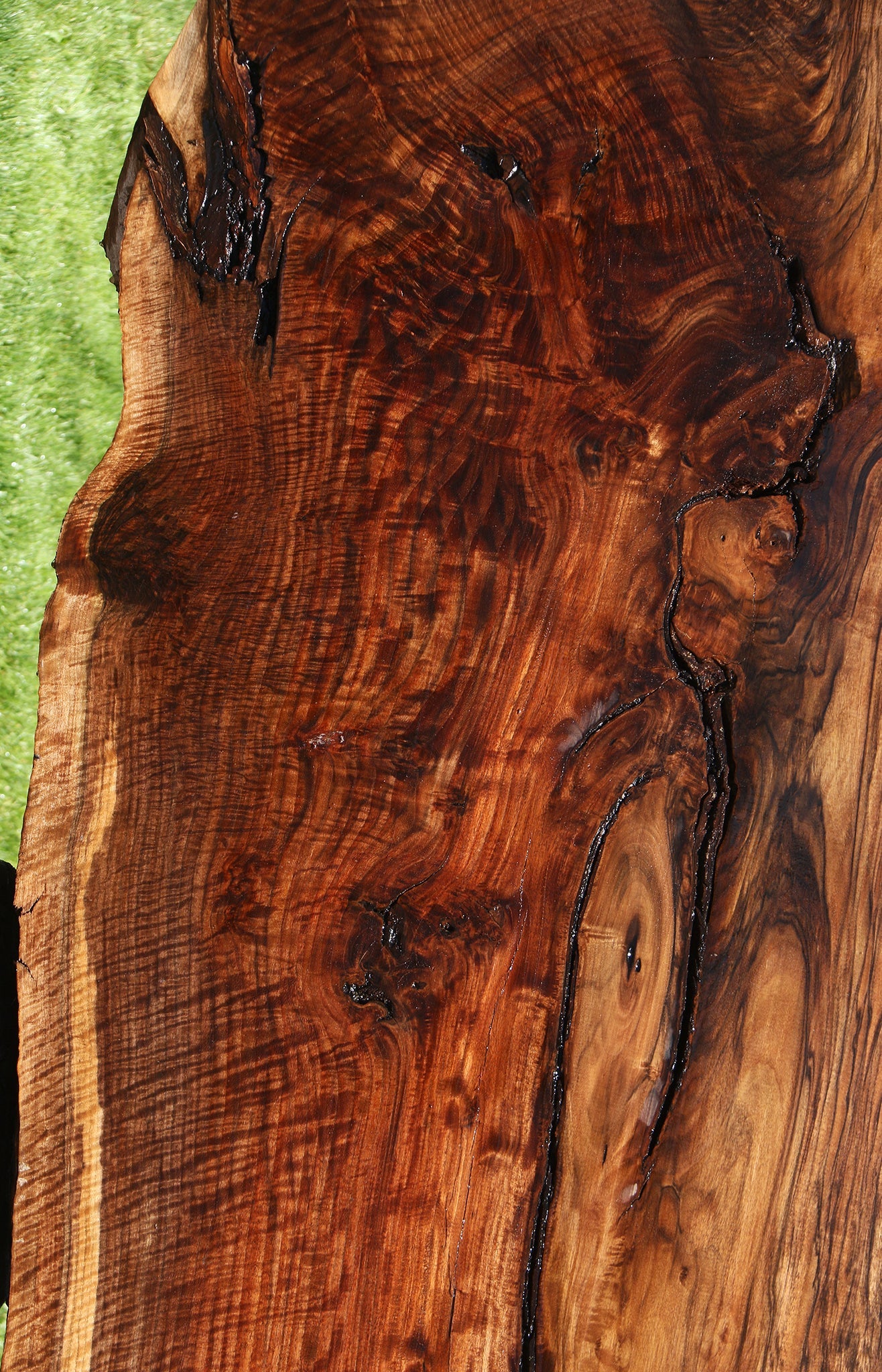 Exhibition Figured Rustic Claro/English Walnut Grafted Live Edge Slab