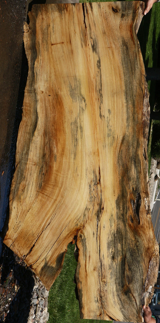 Rustic Spalted Hackberry Live Edge Slab
