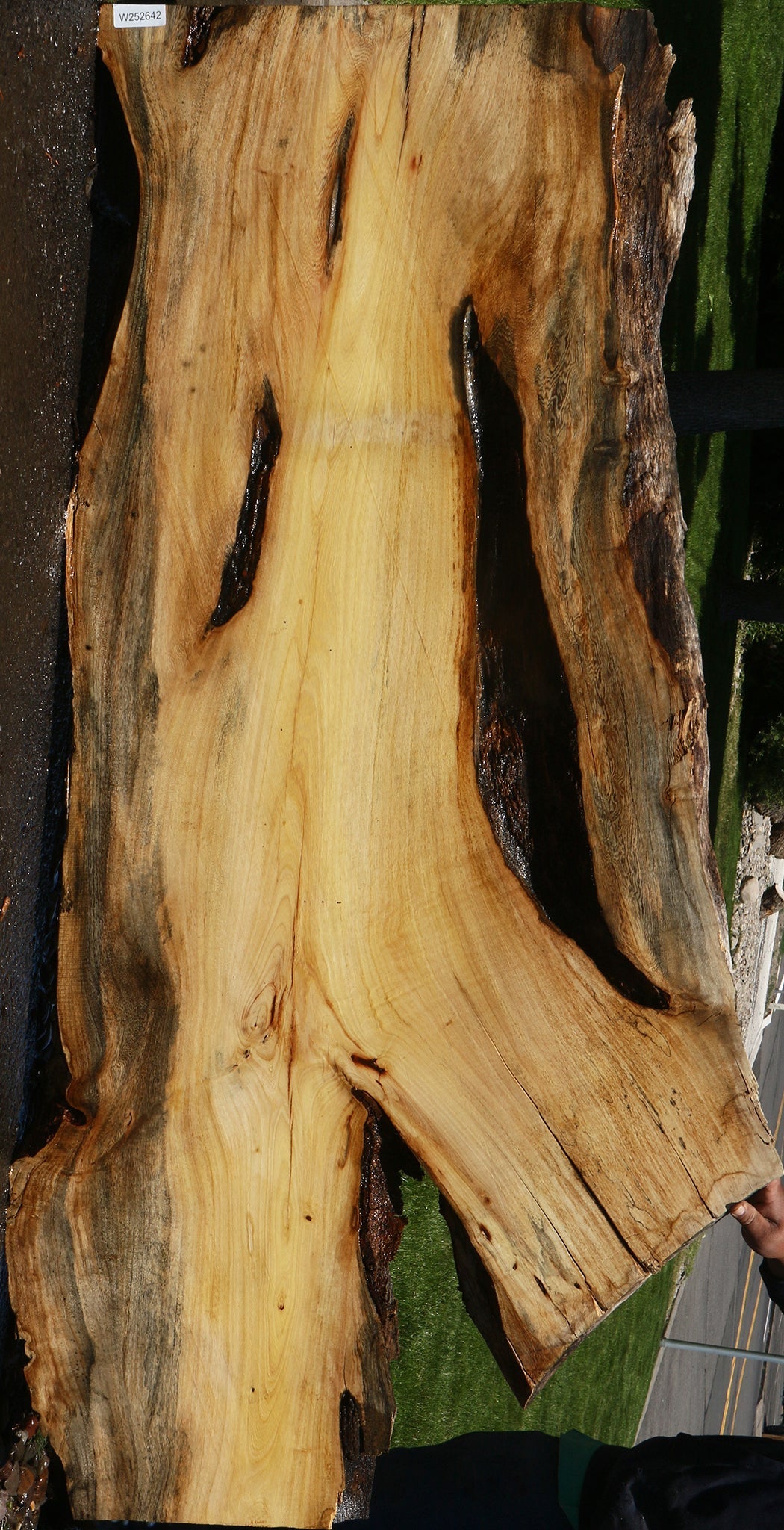 Rustic Spalted Hackberry Live Edge Slab