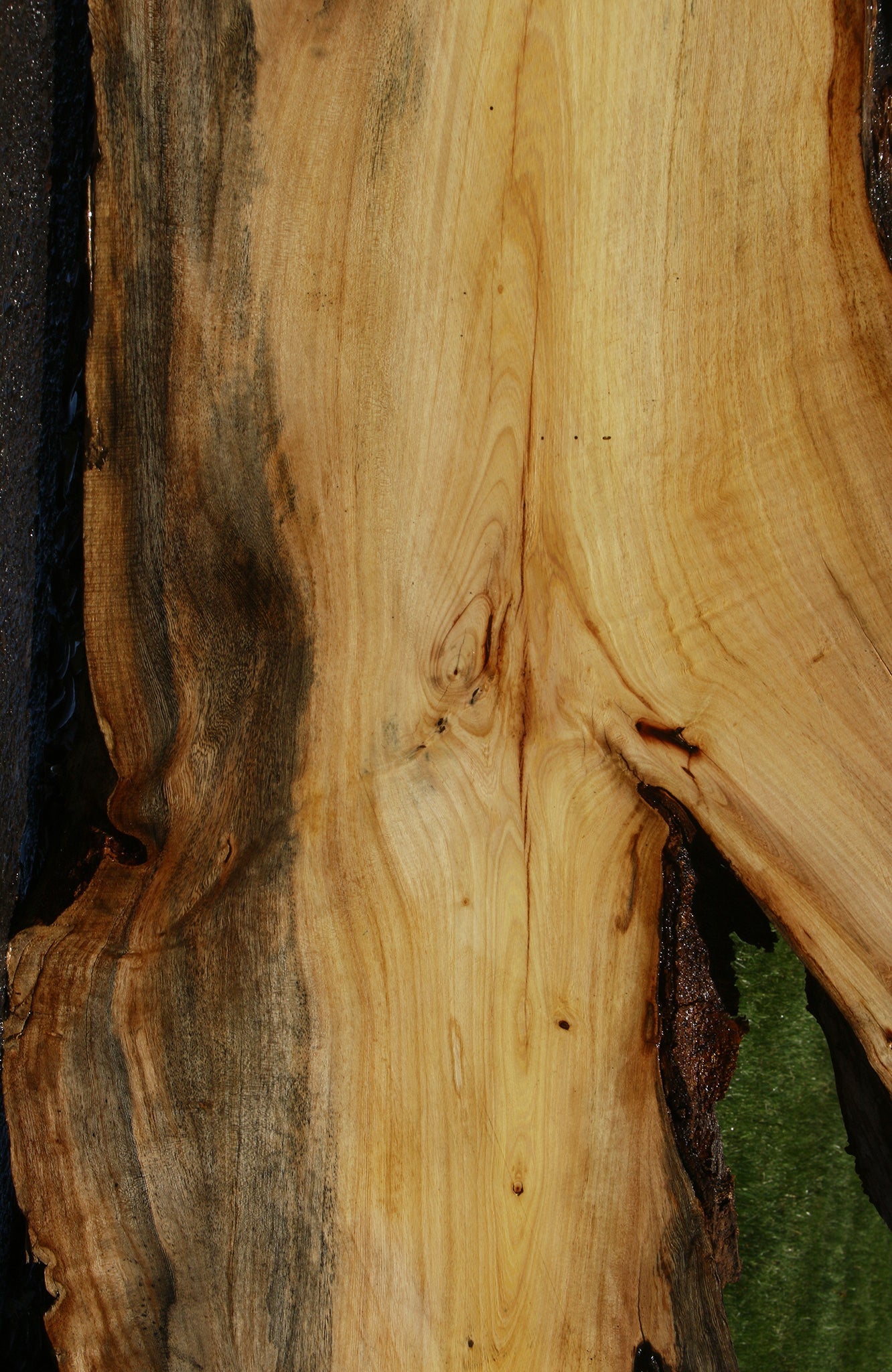 Rustic Spalted Hackberry Live Edge Slab