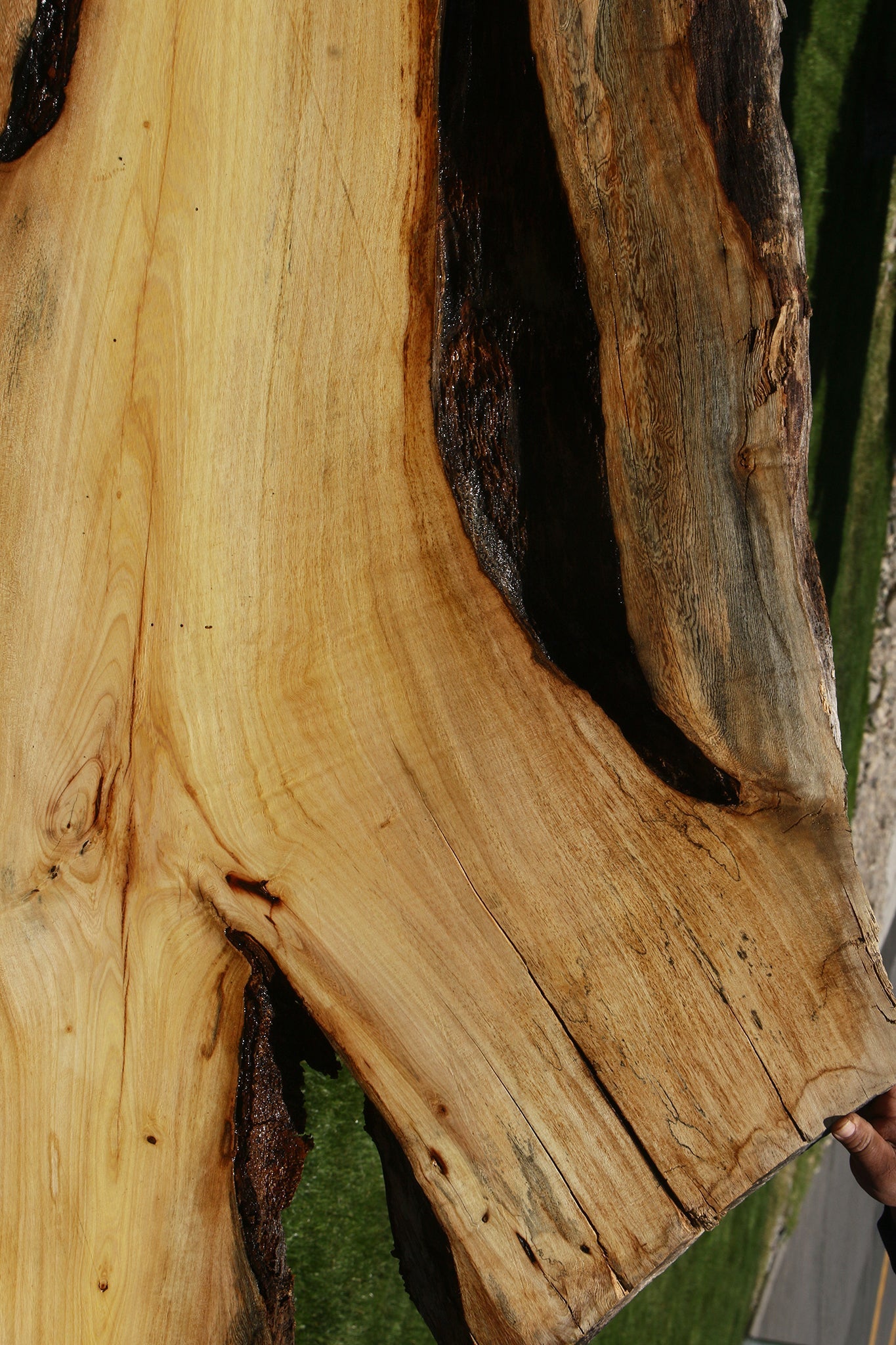 Rustic Spalted Hackberry Live Edge Slab