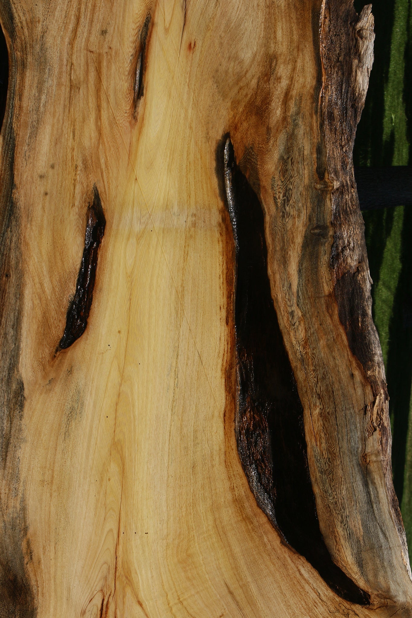 Rustic Spalted Hackberry Live Edge Slab