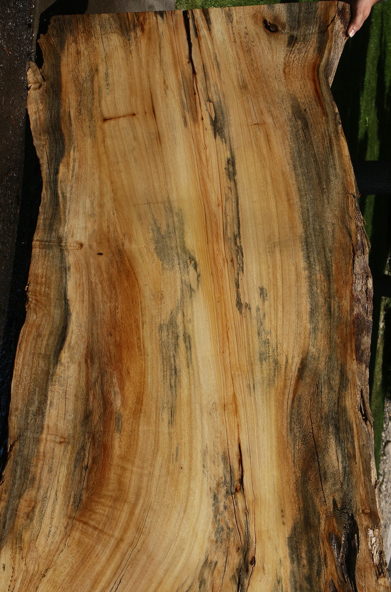 Rustic Spalted Hackberry Live Edge Slab