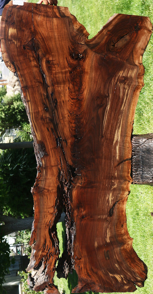 Figured Crotchwood Rustic Claro Walnut Live Edge Slab