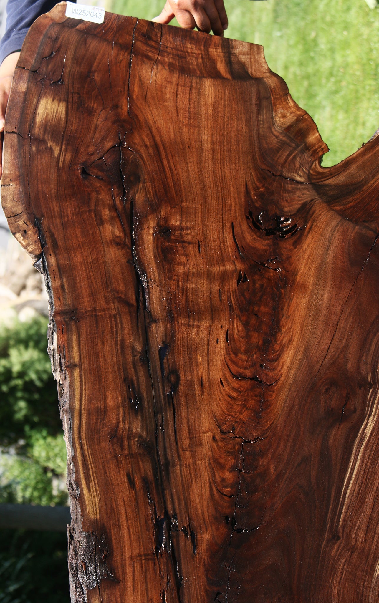 Figured Crotchwood Rustic Claro Walnut Live Edge Slab