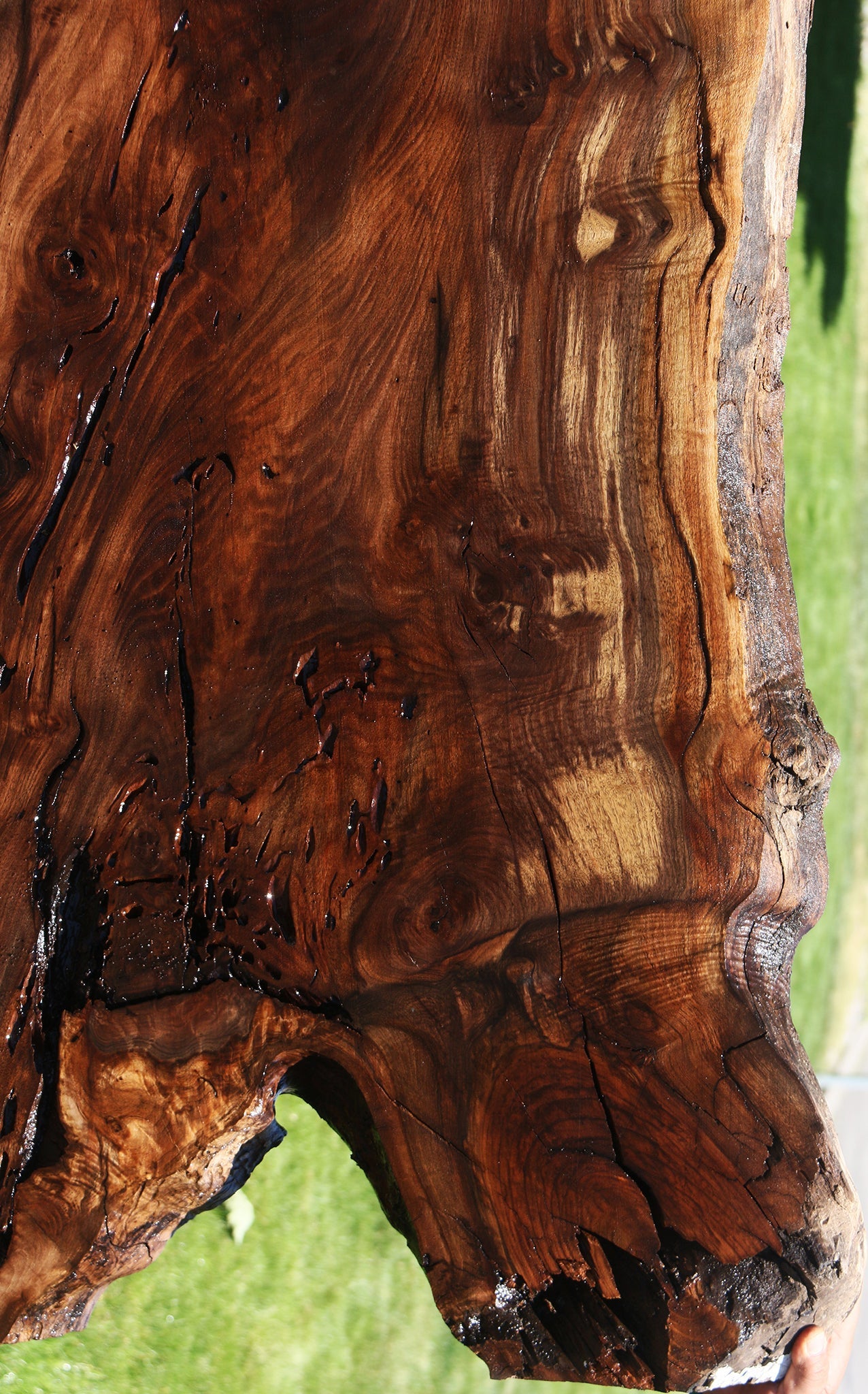 Figured Crotchwood Rustic Claro Walnut Live Edge Slab