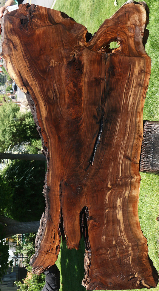 Figured Rustic Claro Walnut Live Edge Slab