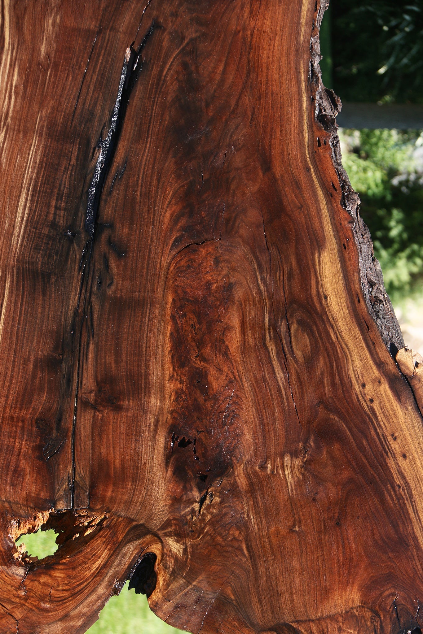 Figured Rustic Claro Walnut Live Edge Slab