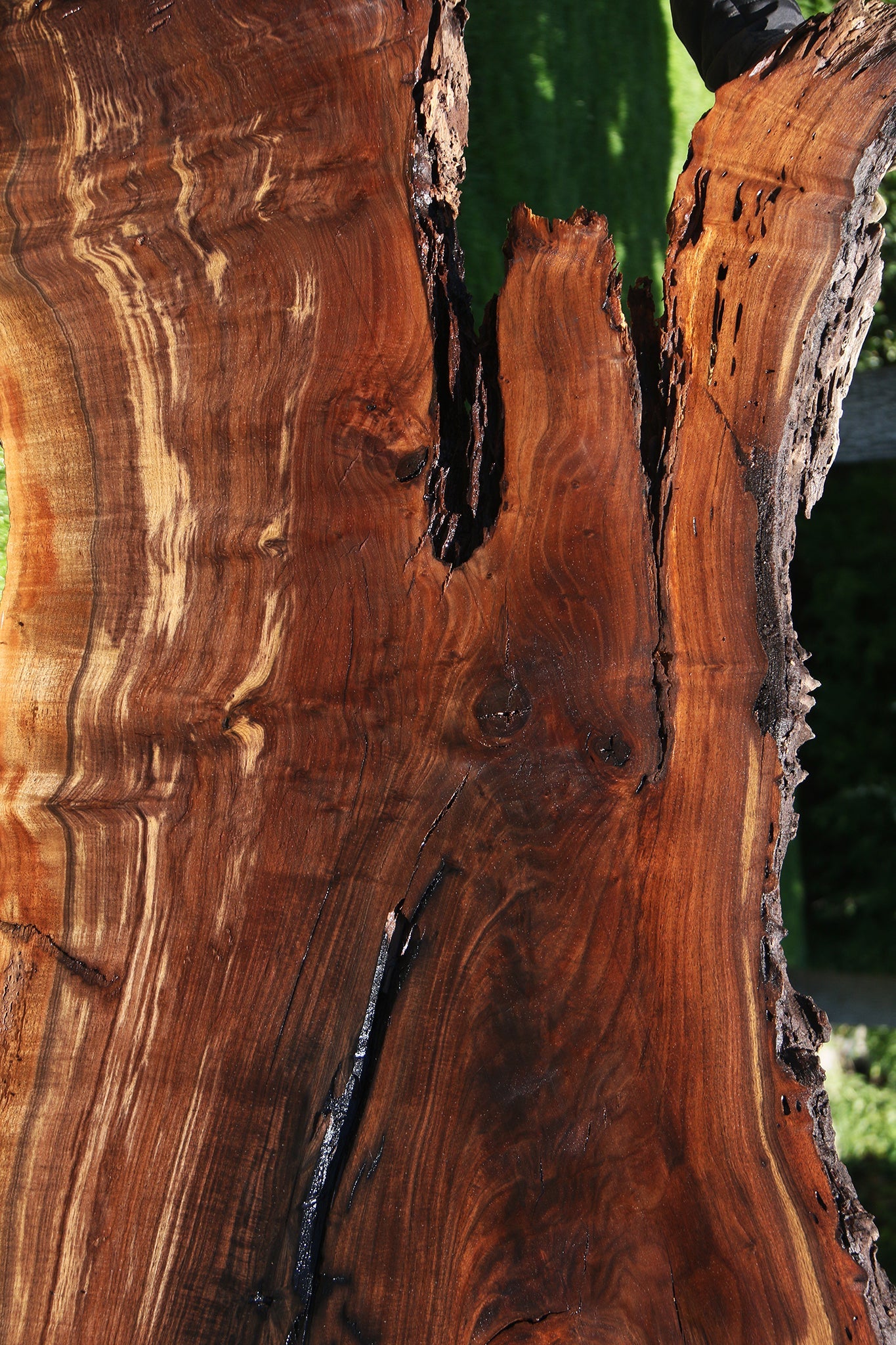 Figured Rustic Claro Walnut Live Edge Slab