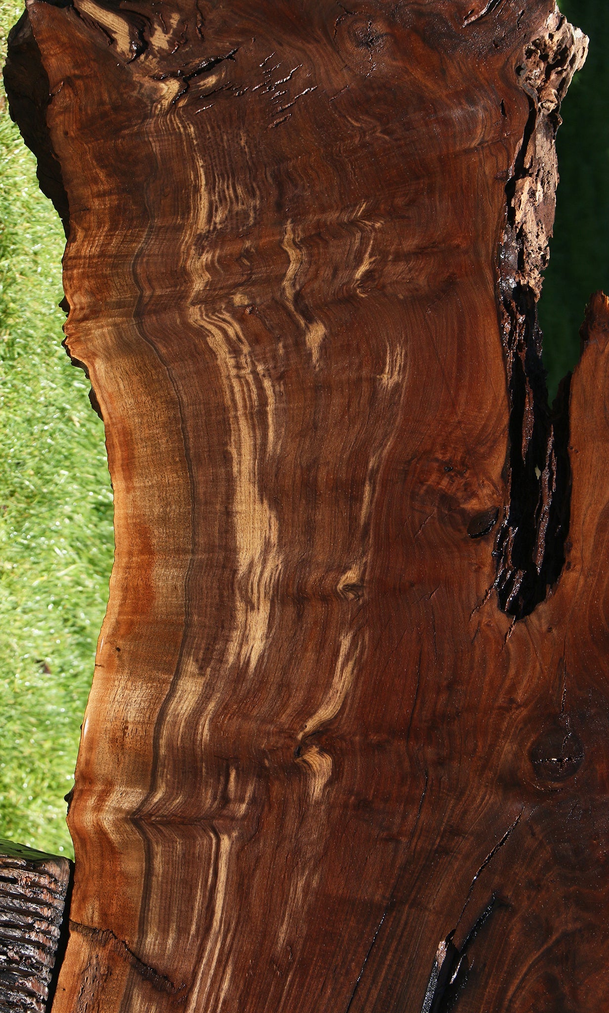 Figured Rustic Claro Walnut Live Edge Slab