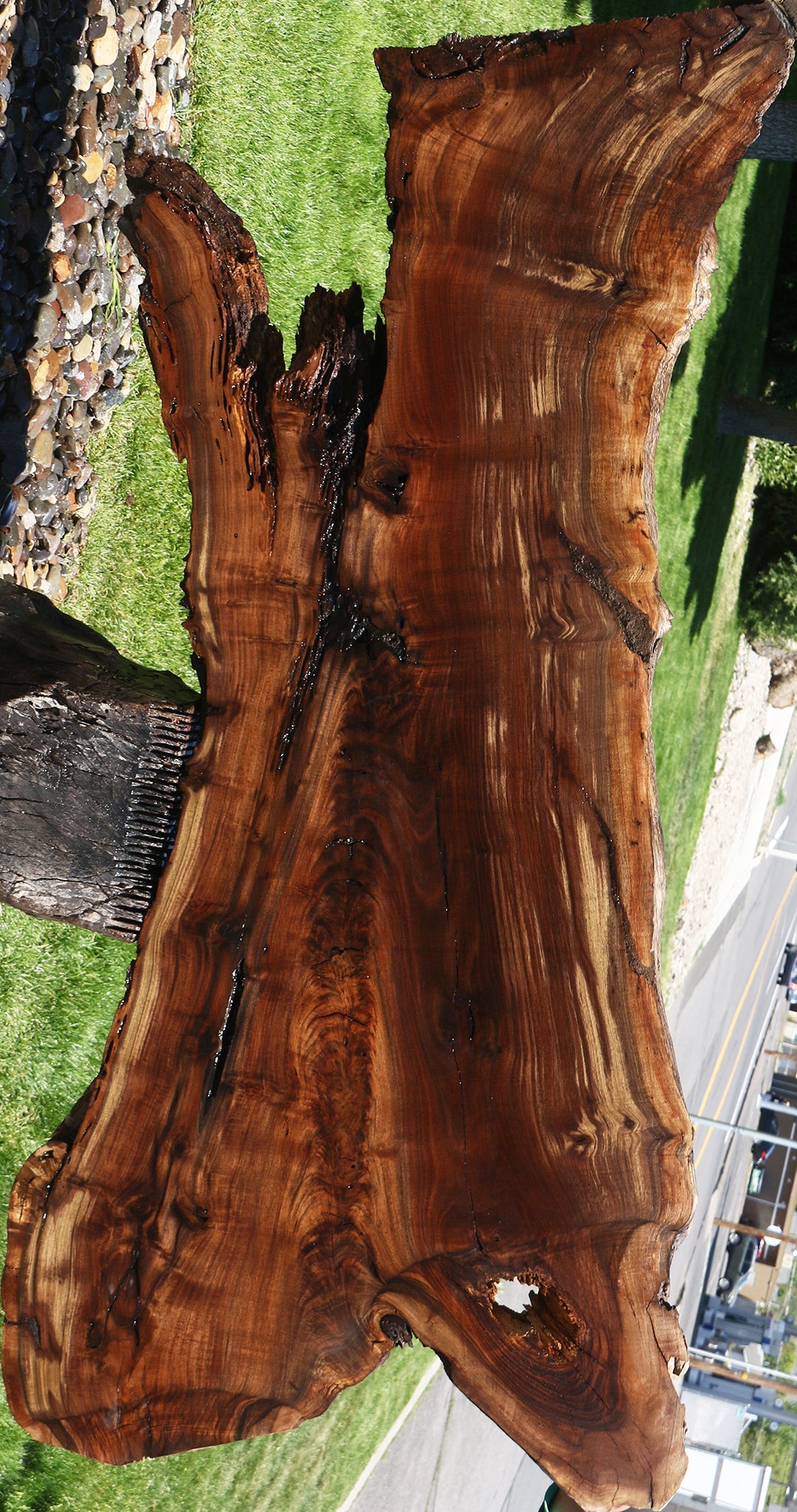 Figured Rustic Claro Walnut Live Edge Slab
