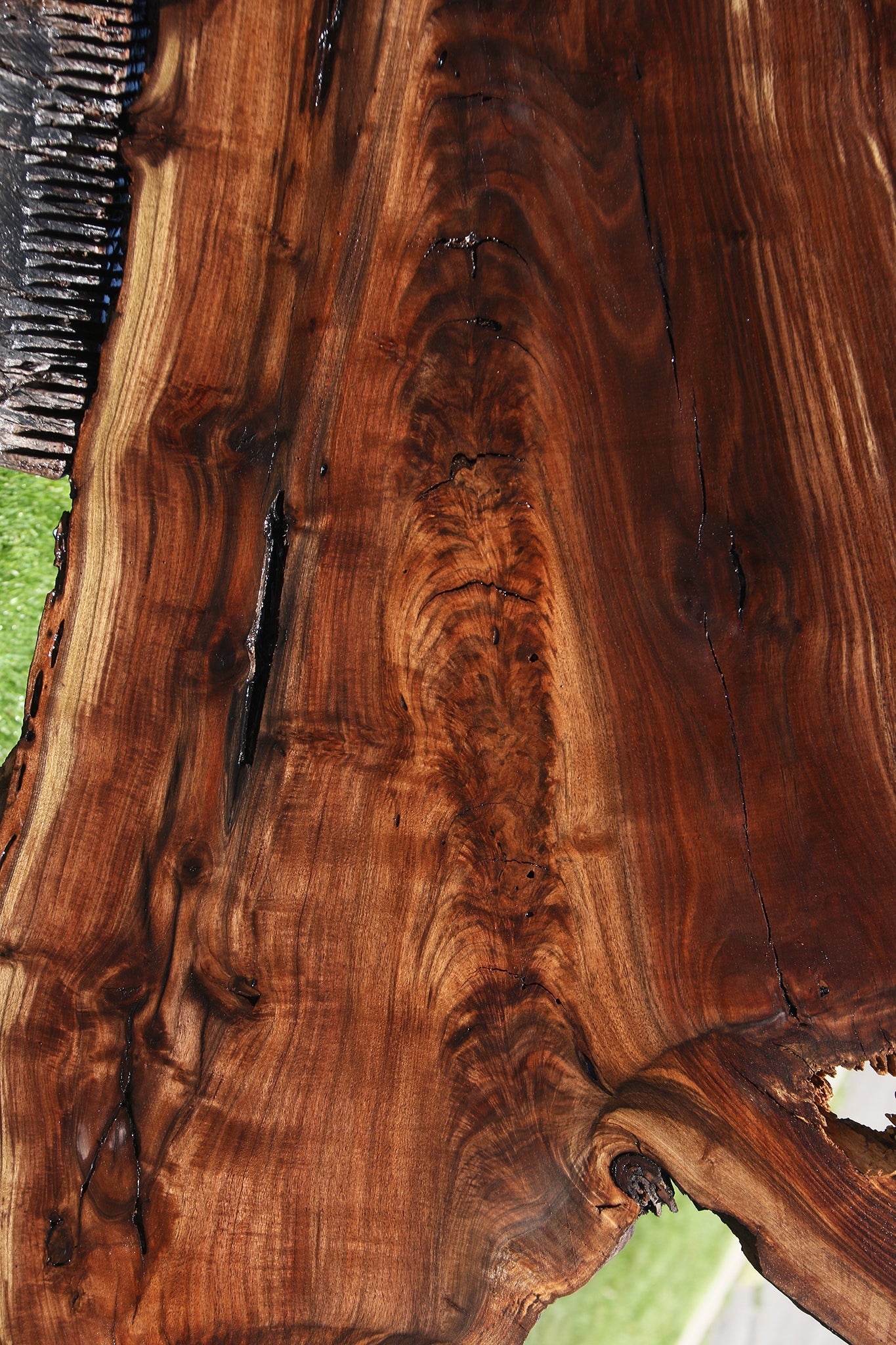 Figured Rustic Claro Walnut Live Edge Slab