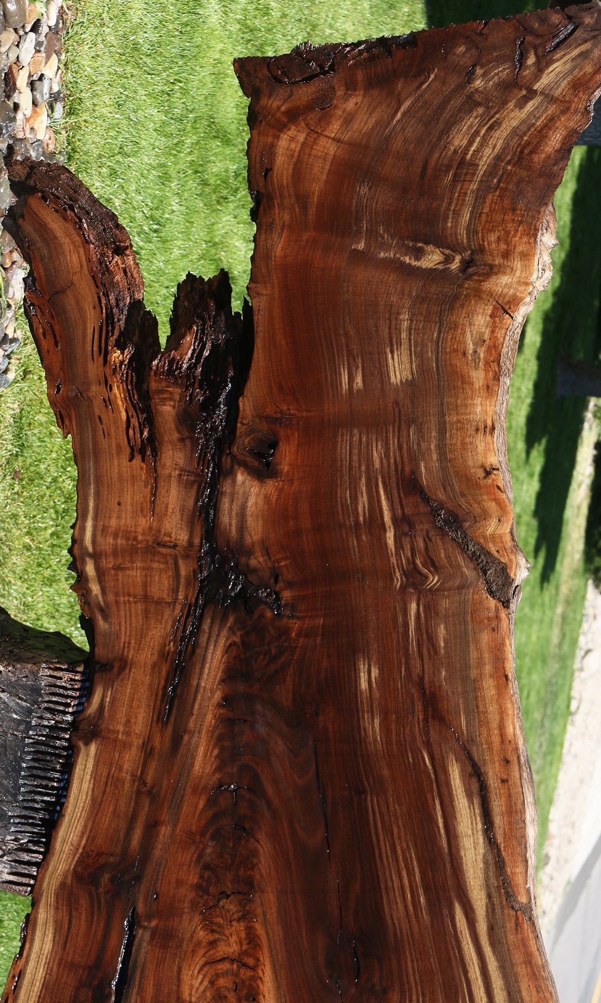 Figured Rustic Claro Walnut Live Edge Slab