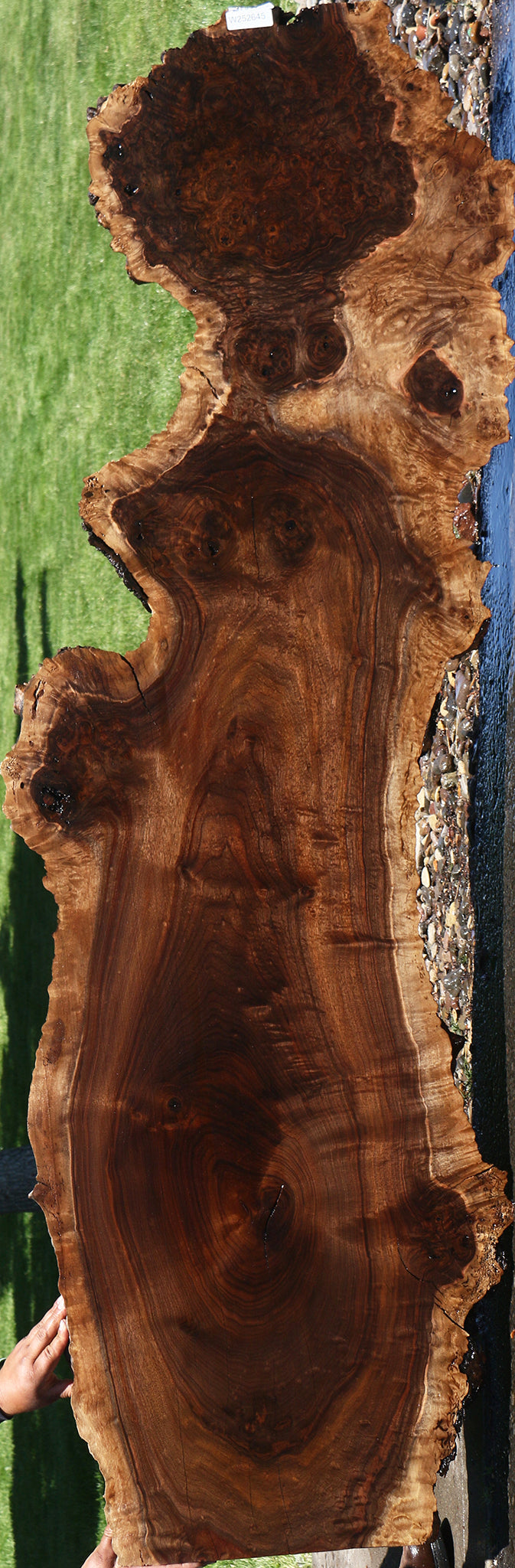 Extra Fancy Rustic Claro Walnut Burl Live Edge Slab
