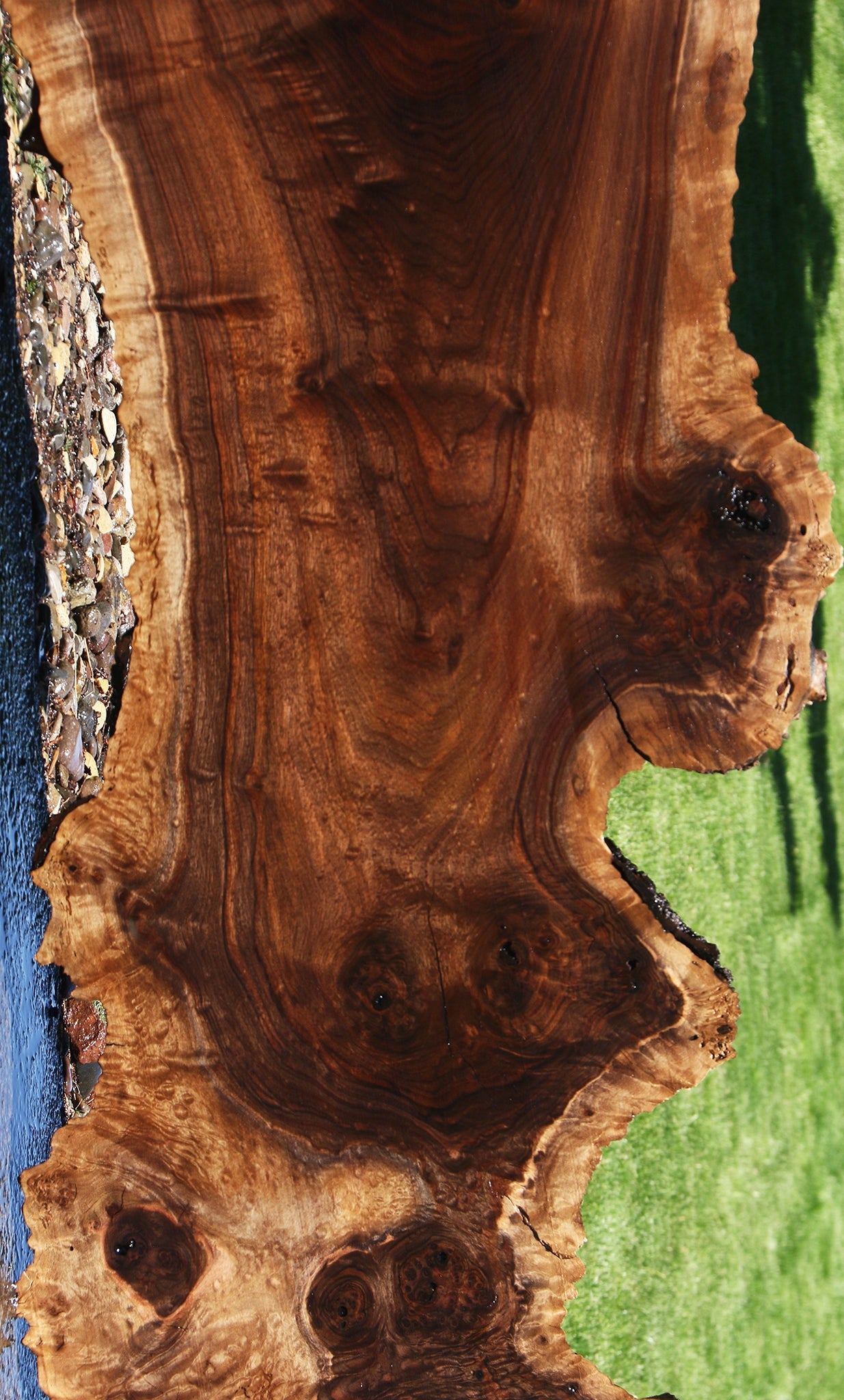 Extra Fancy Rustic Claro Walnut Burl Live Edge Slab