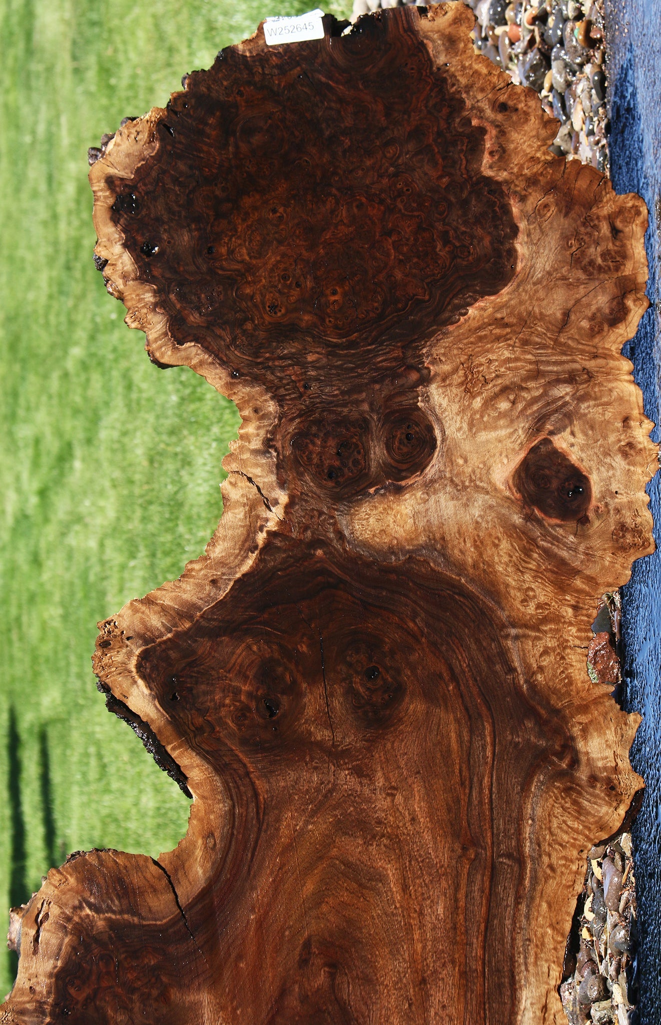 Extra Fancy Rustic Claro Walnut Burl Live Edge Slab