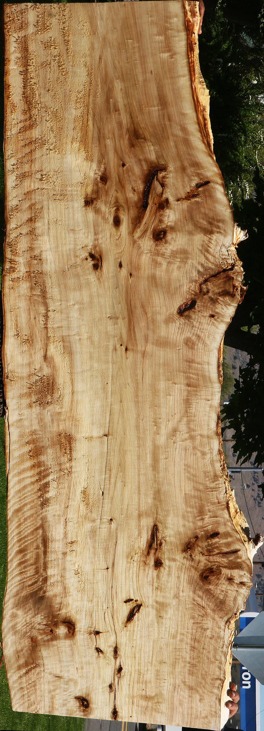 Extra Fancy Black Cottonwood Live Edge Slab