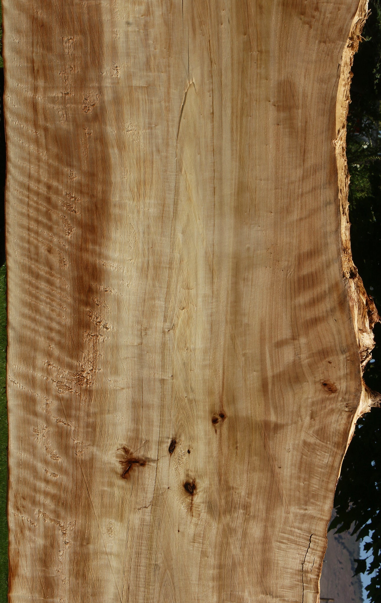 Extra Fancy Black Cottonwood Live Edge Slab