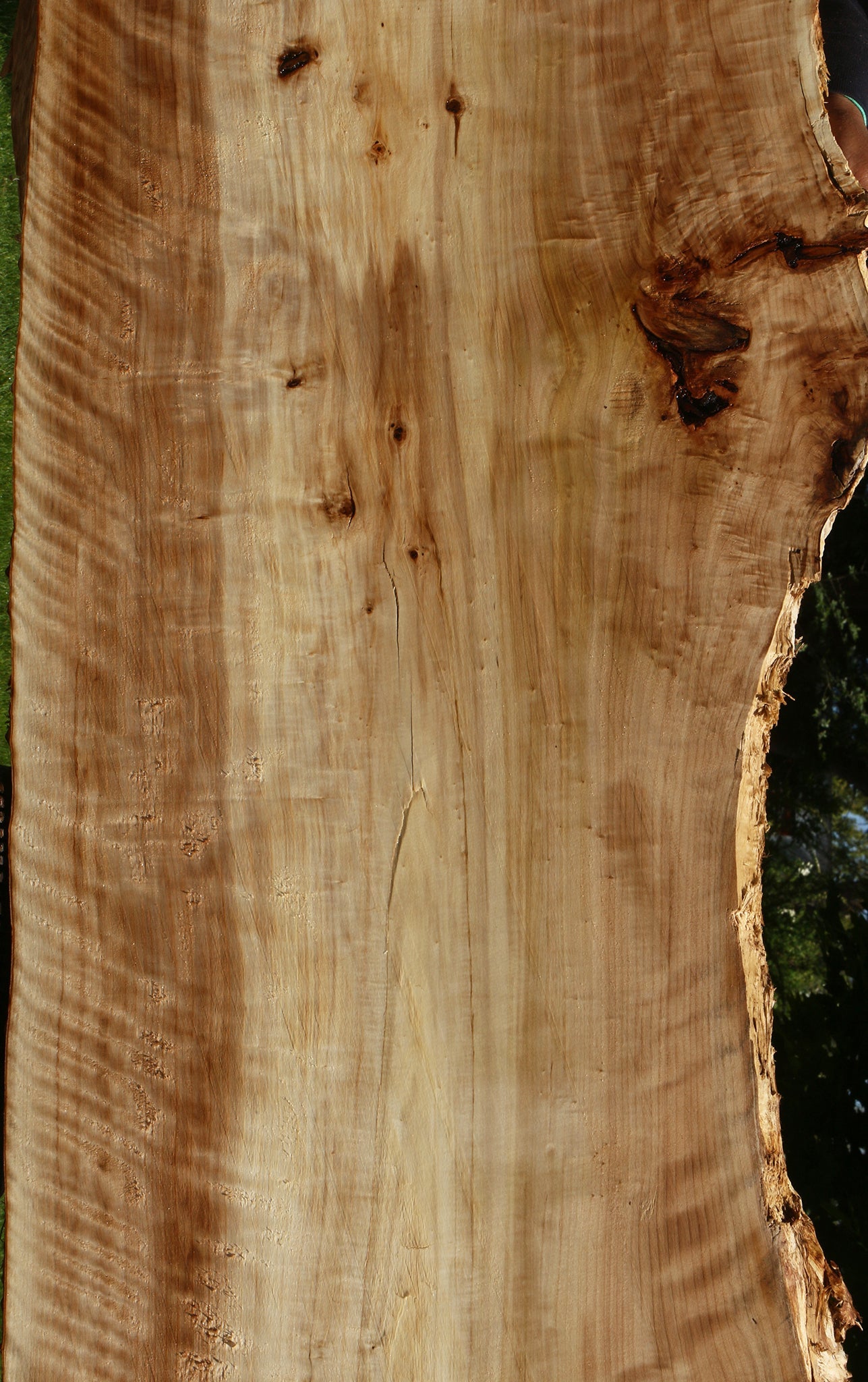 Extra Fancy Black Cottonwood Live Edge Slab