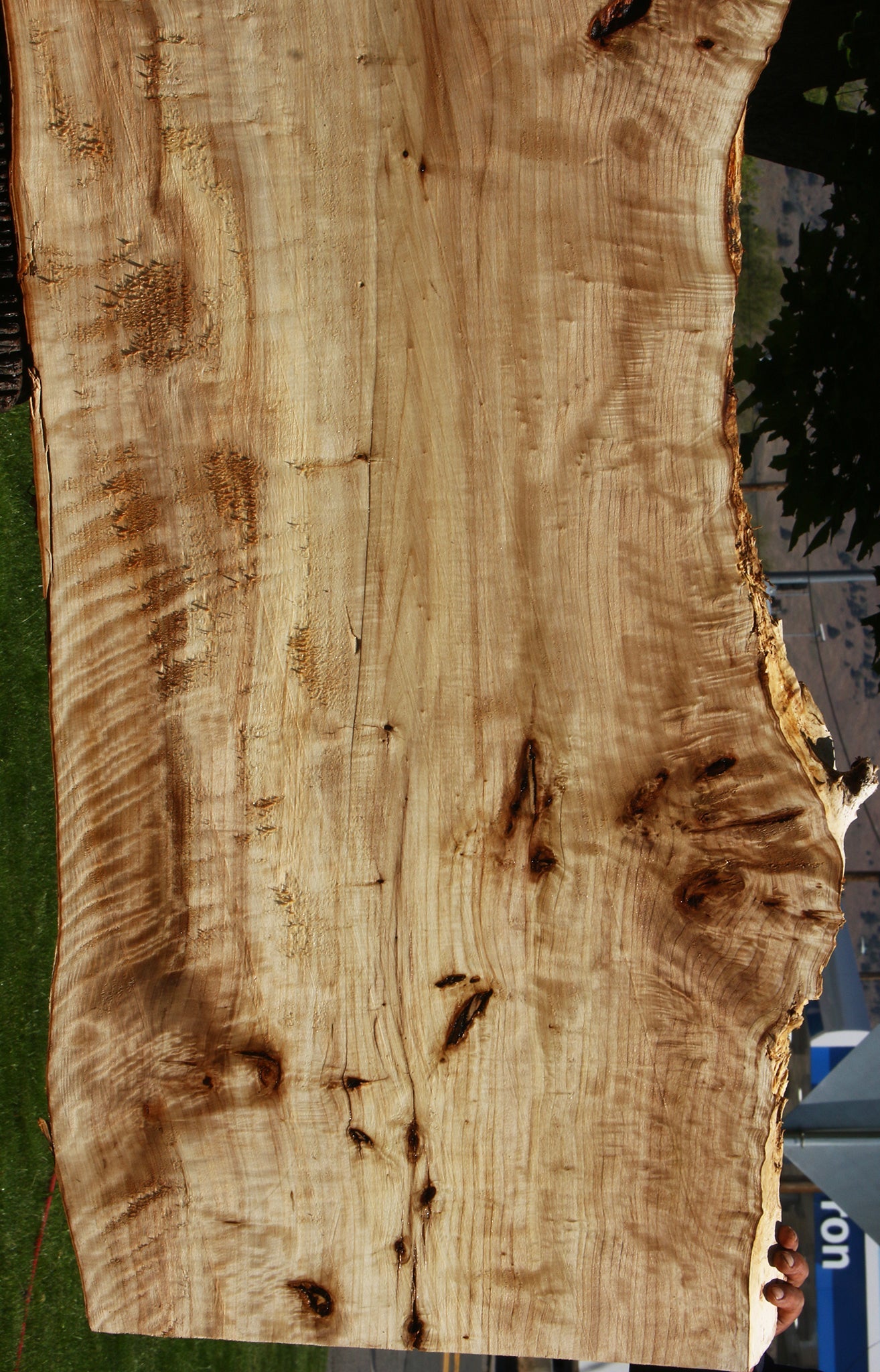 Extra Fancy Black Cottonwood Live Edge Slab