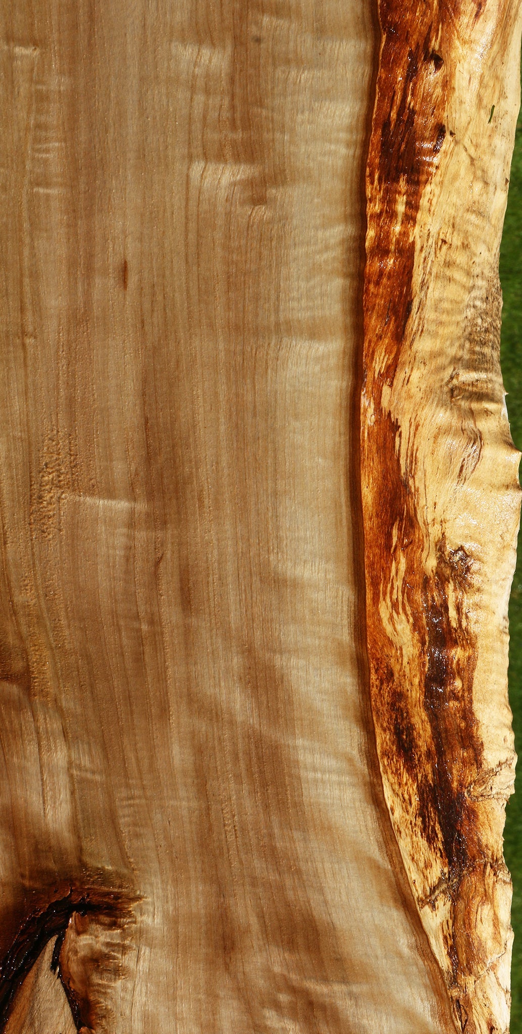 Extra Fancy Black Cottonwood Live Edge Slab