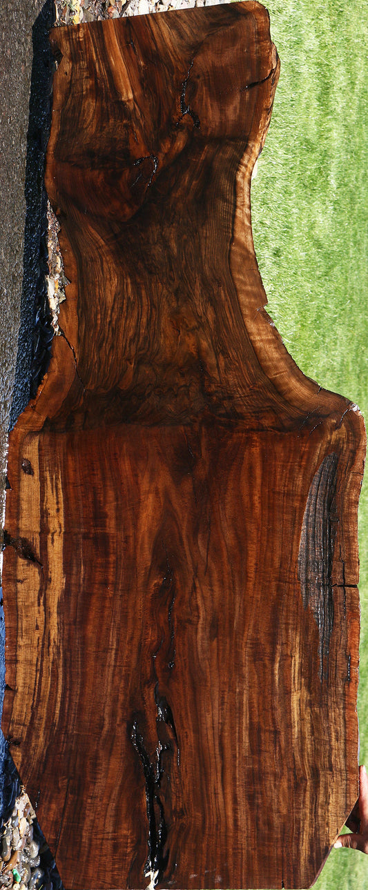 Extra Fancy Grafted Claro/English Live Edge Slab (Free Shipping Excluded)