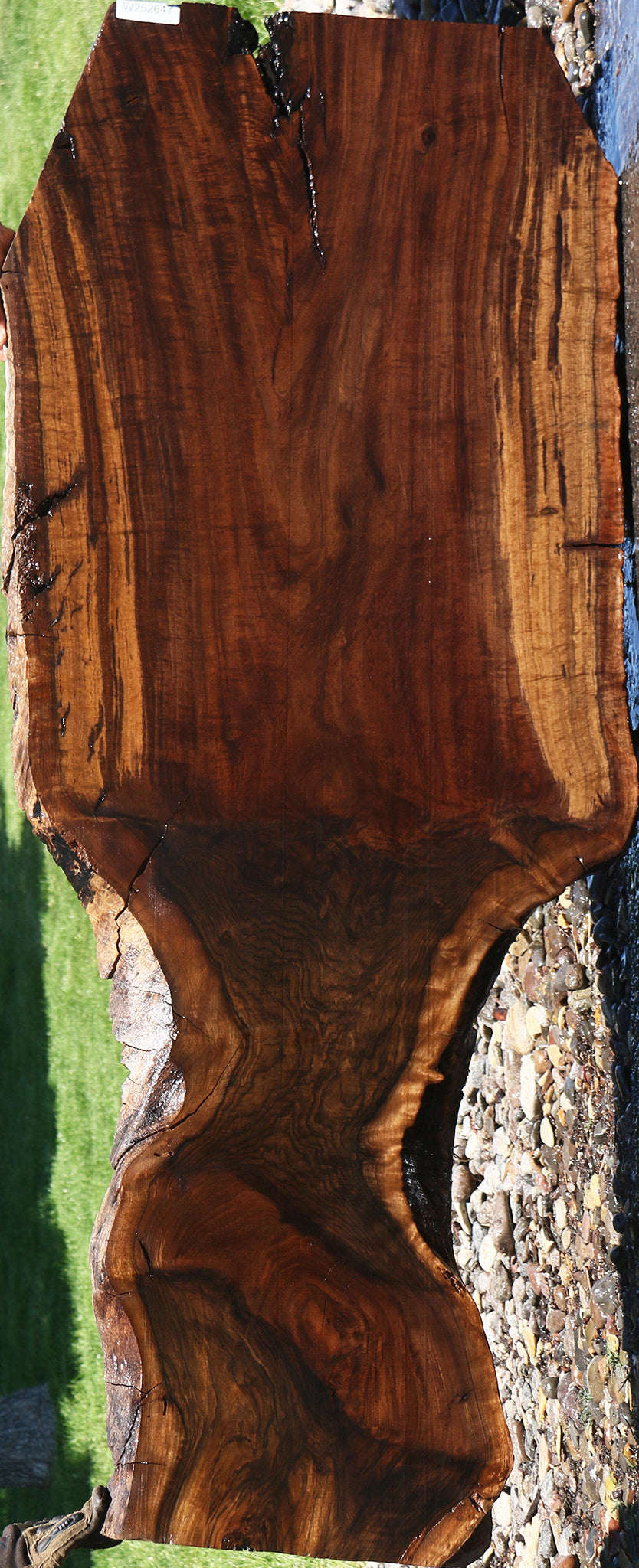 Extra Fancy Grafted Claro/English Live Edge Slab (Free Shipping Excluded)