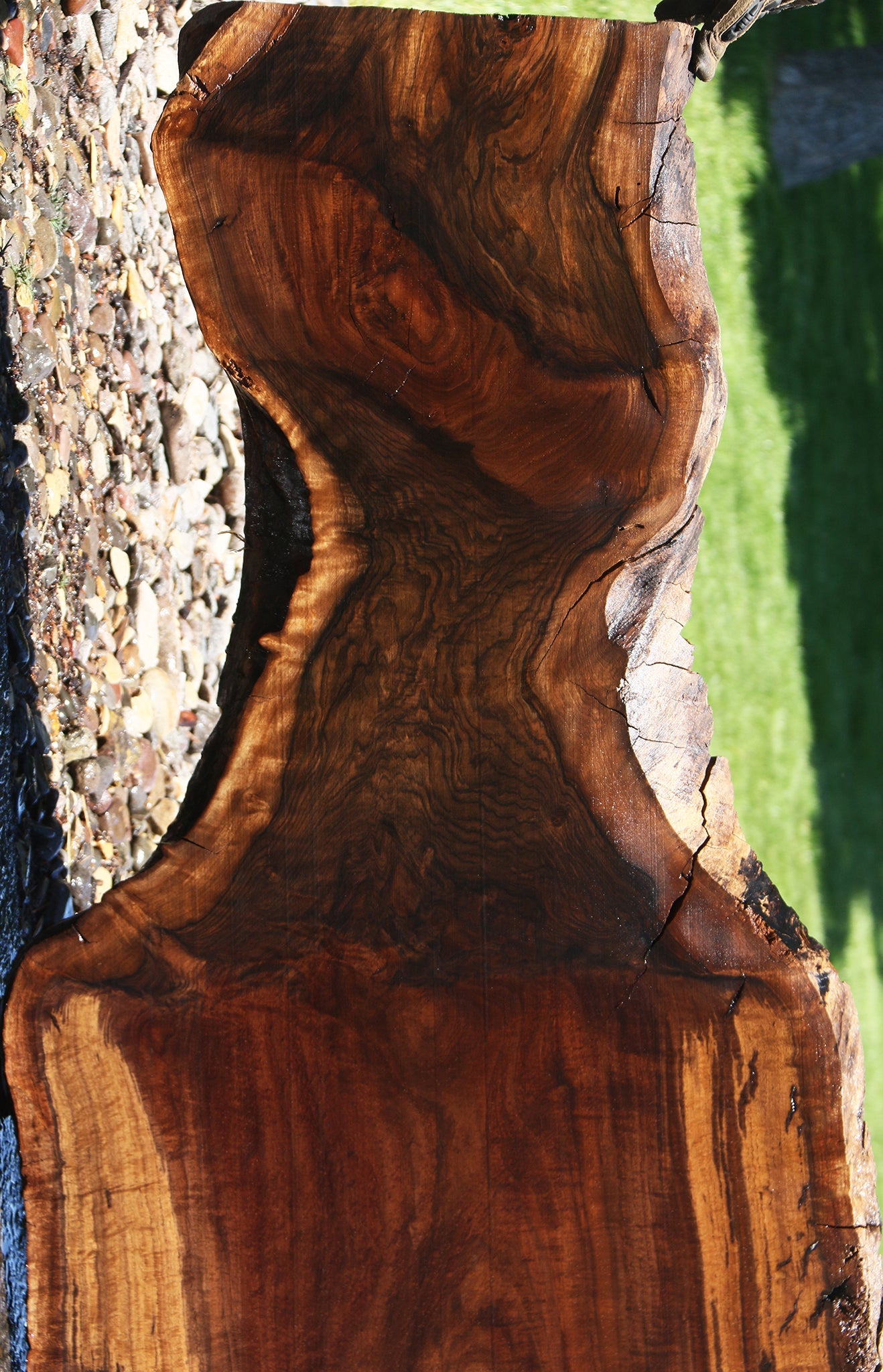 Extra Fancy Grafted Claro/English Live Edge Slab (Free Shipping Excluded)