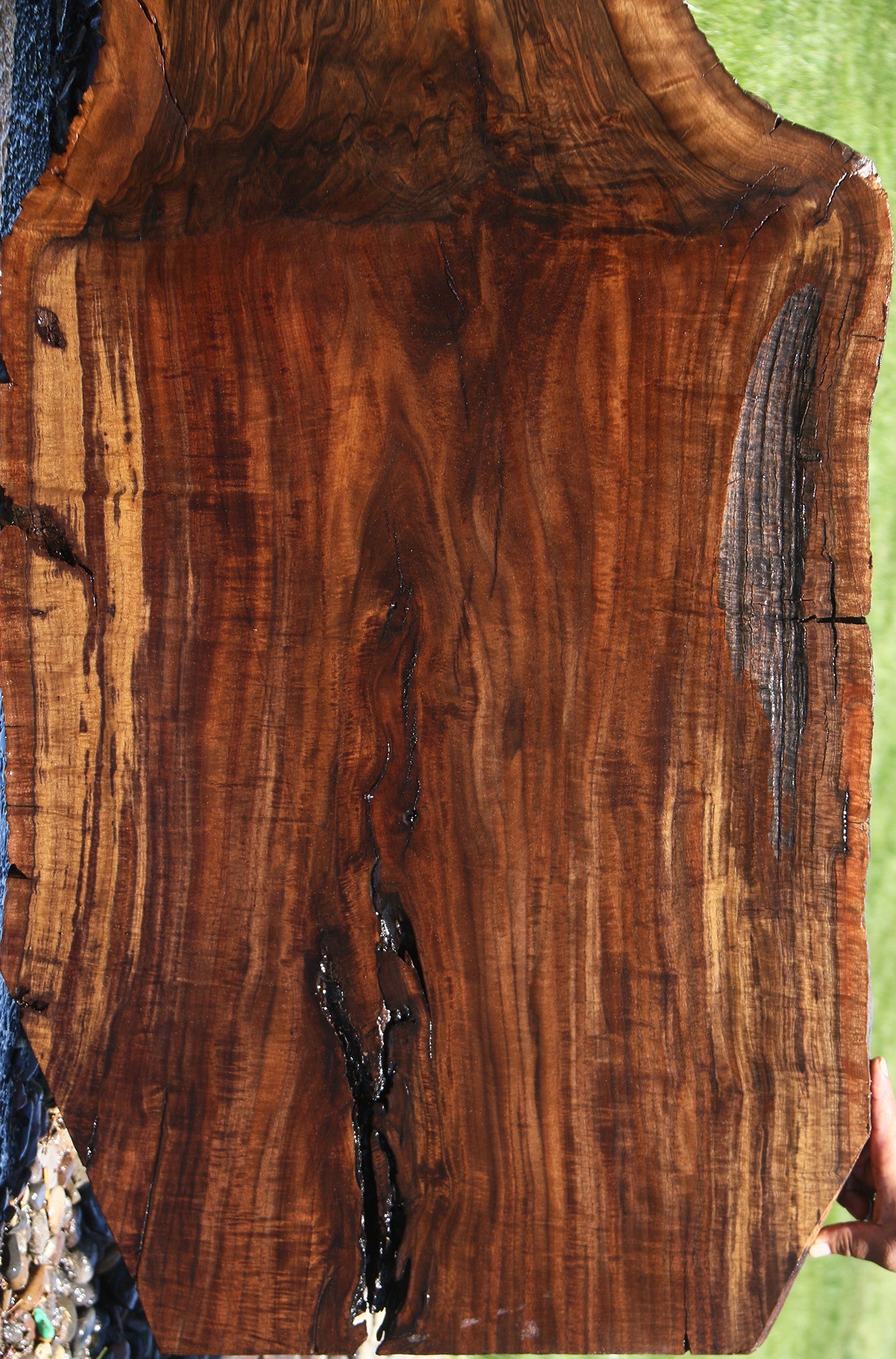 Extra Fancy Grafted Claro/English Live Edge Slab (Free Shipping Excluded)