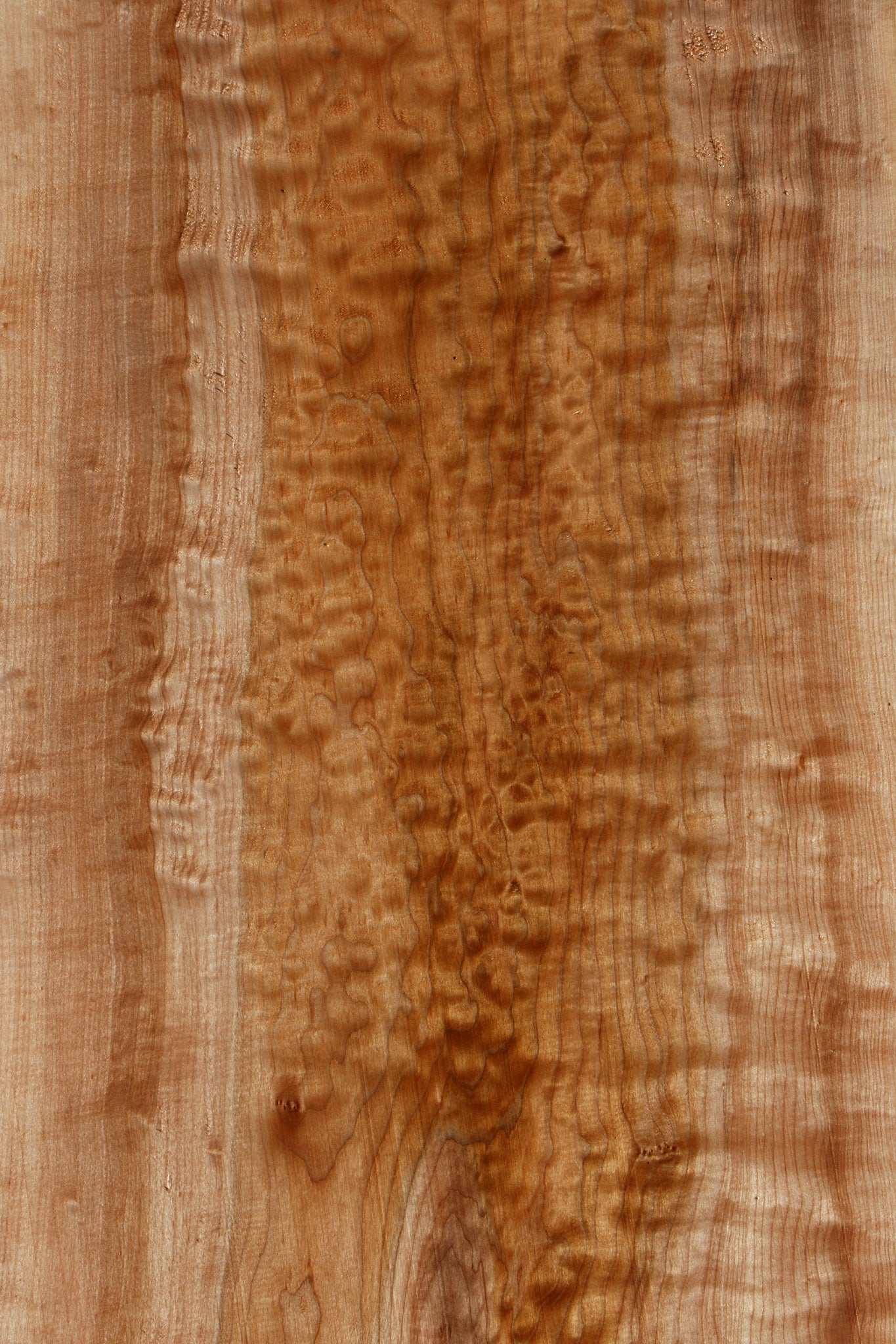 Extra Fancy Quilted Maple Live Edge Slab (Free Shipping Excluded)