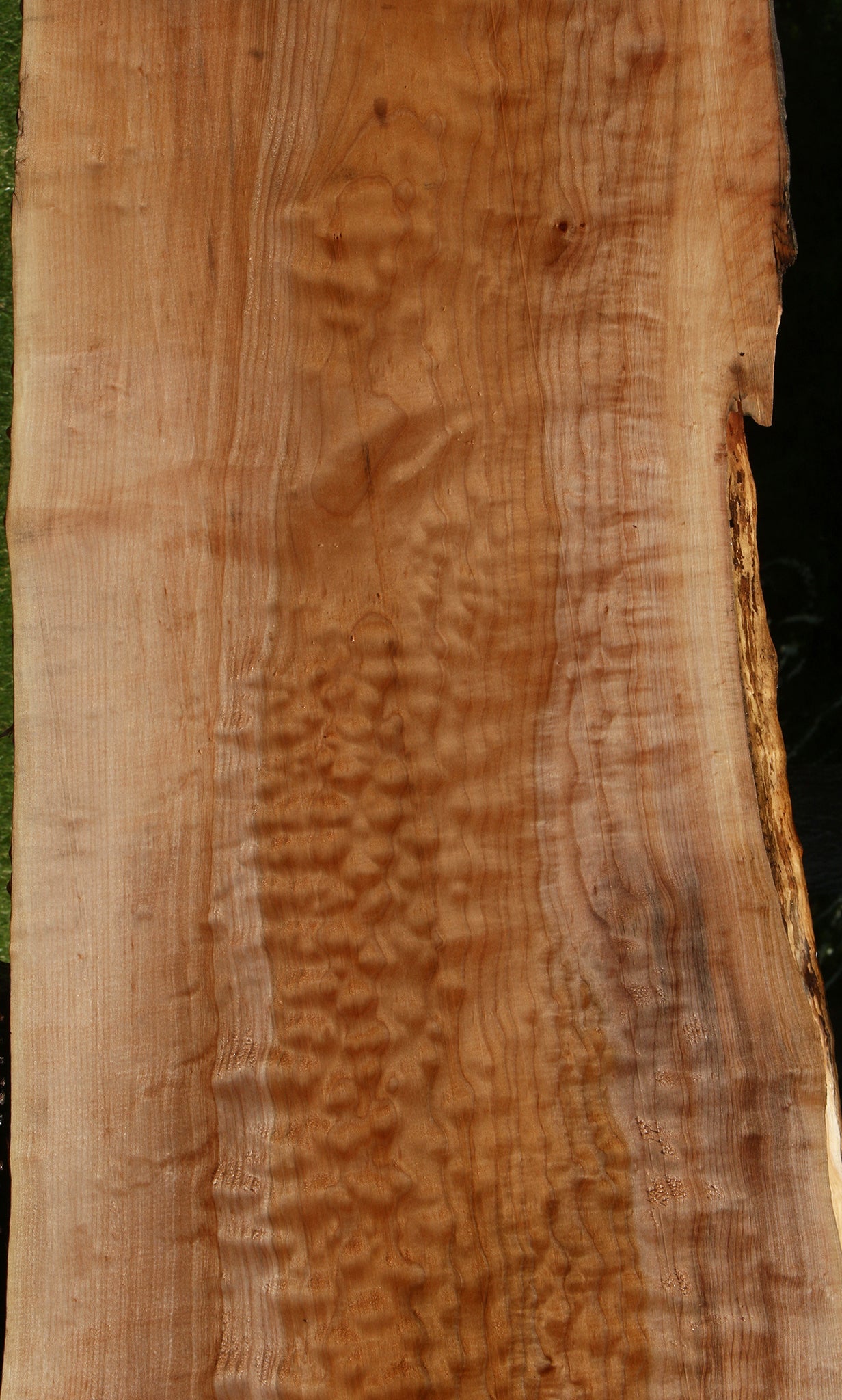 Extra Fancy Quilted Maple Live Edge Slab (Free Shipping Excluded)