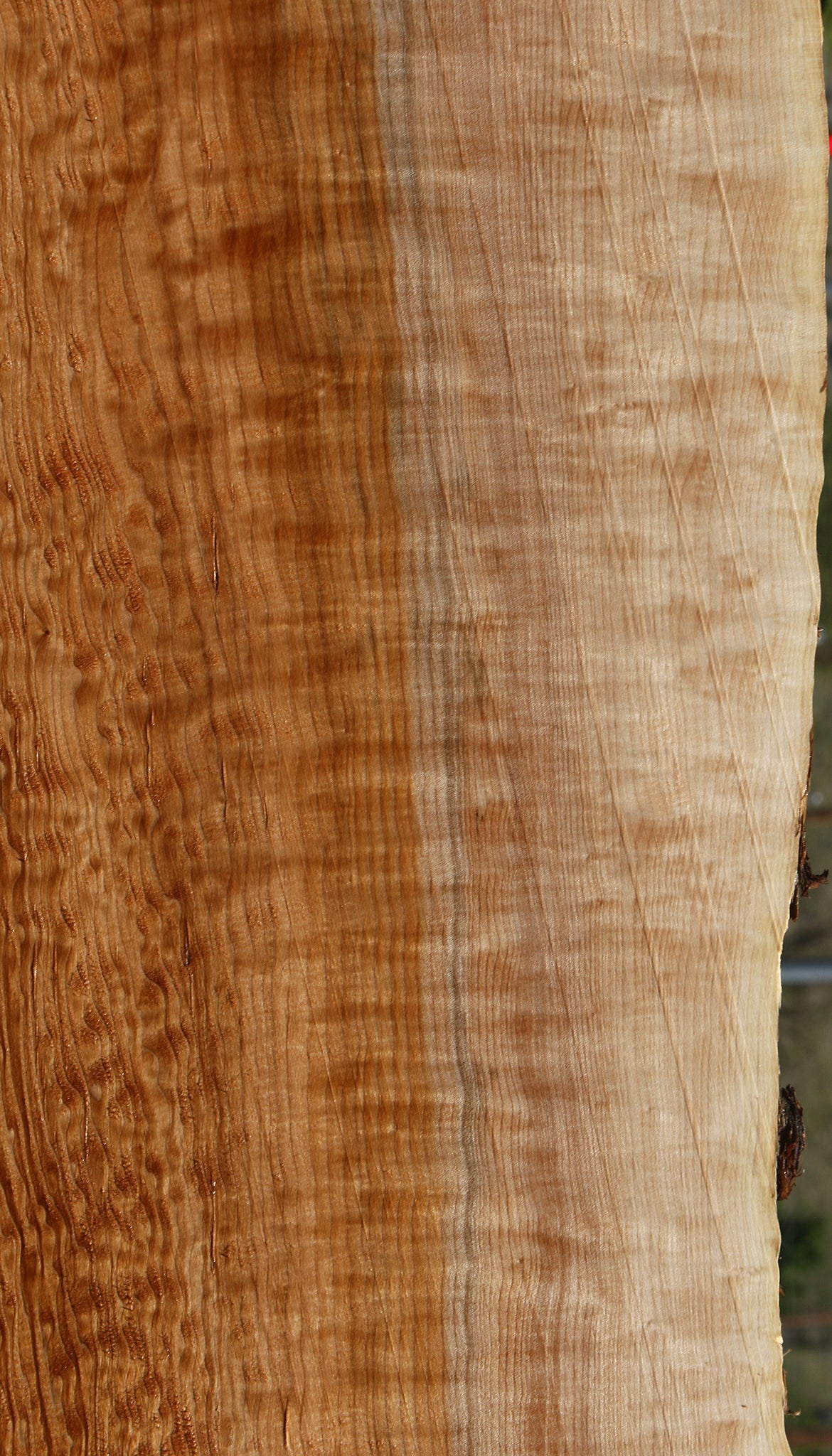 Extra Fancy Quilted Maple Live Edge Slab (Free Shipping Excluded)
