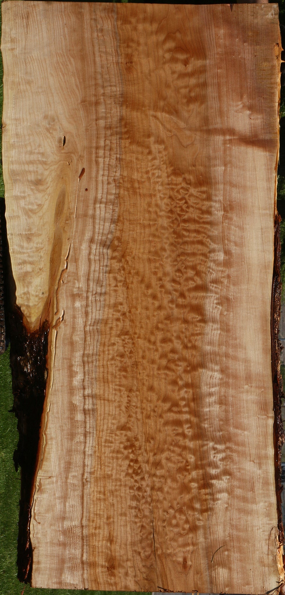 Extra Fancy Quilted Maple Live Edge Slab (Free Shipping Excluded)